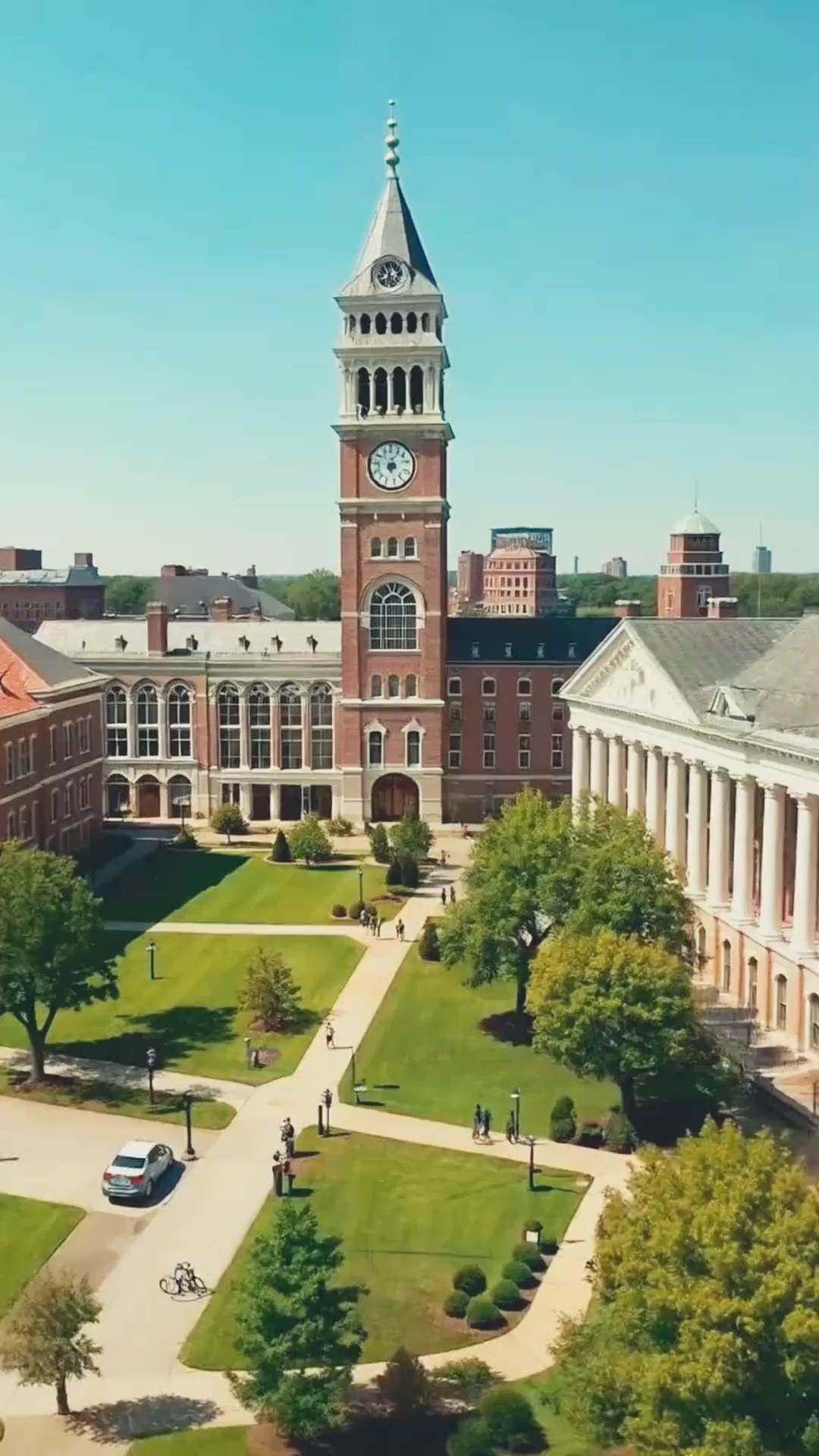 (吹き替え)富豪夫との幸せな結婚を邪魔しないで！