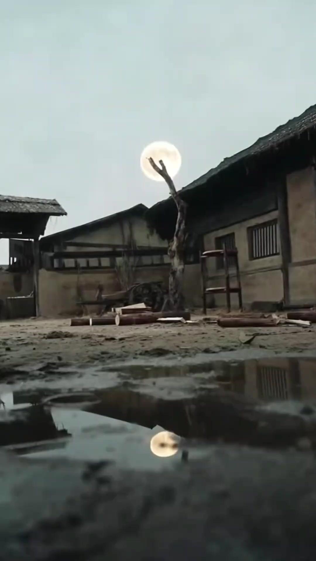 Main Survived, Married aur Conquered!