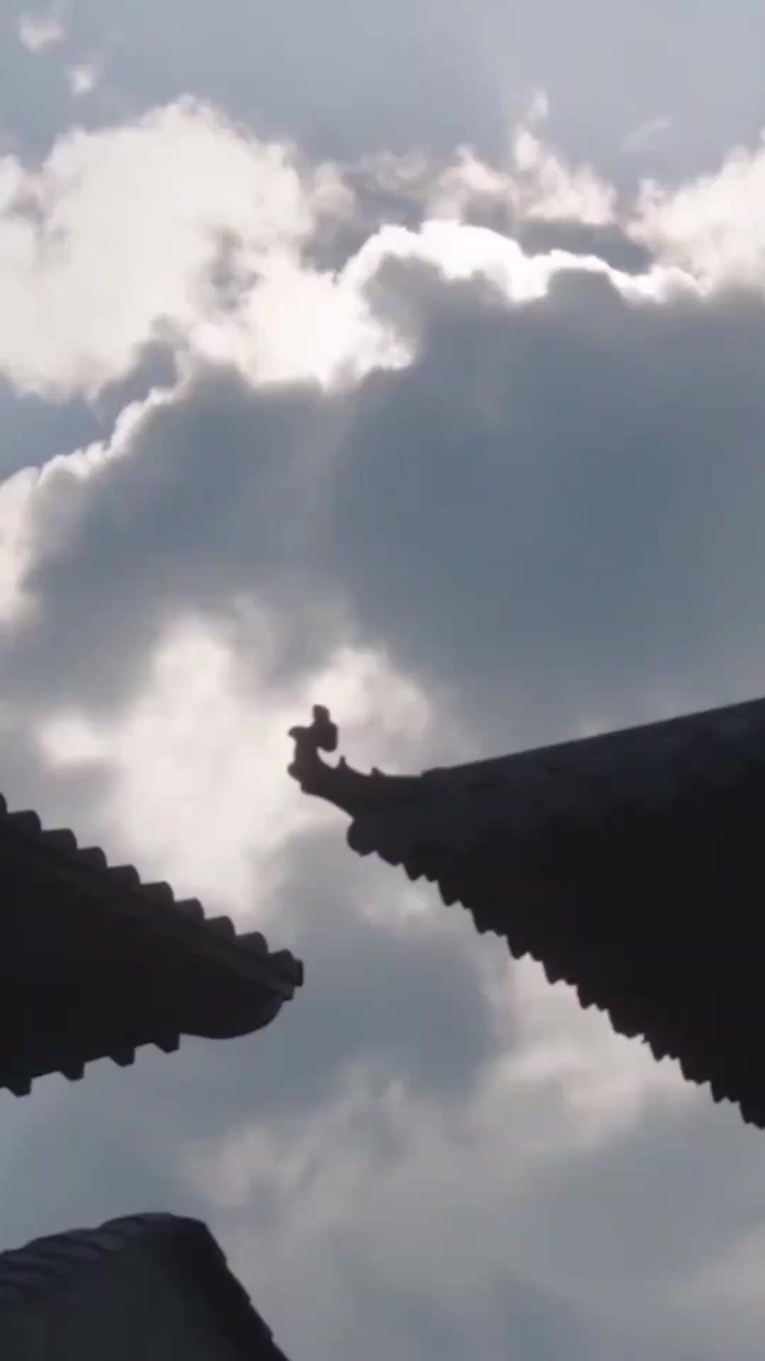 Pusaran Dendam Pengkhianatan