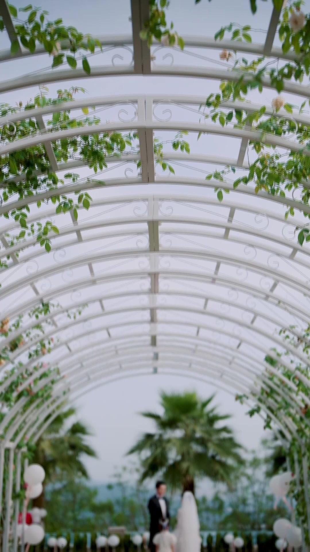 Ocho años de mentiras