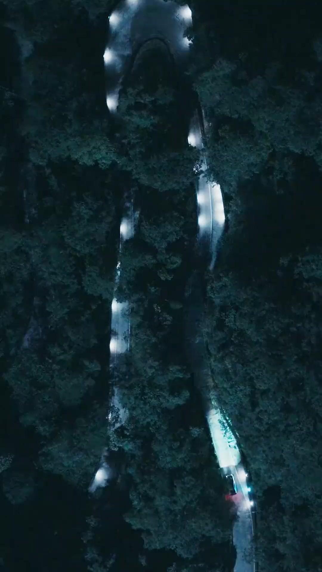 (Synchro) Die letzte Kurve 2: Der Geisterfahrer