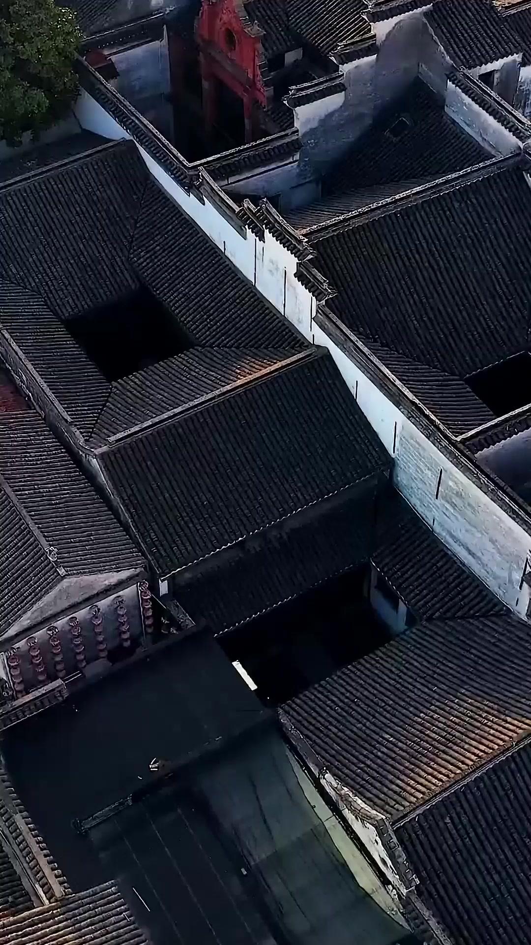 صعود المنبوذين