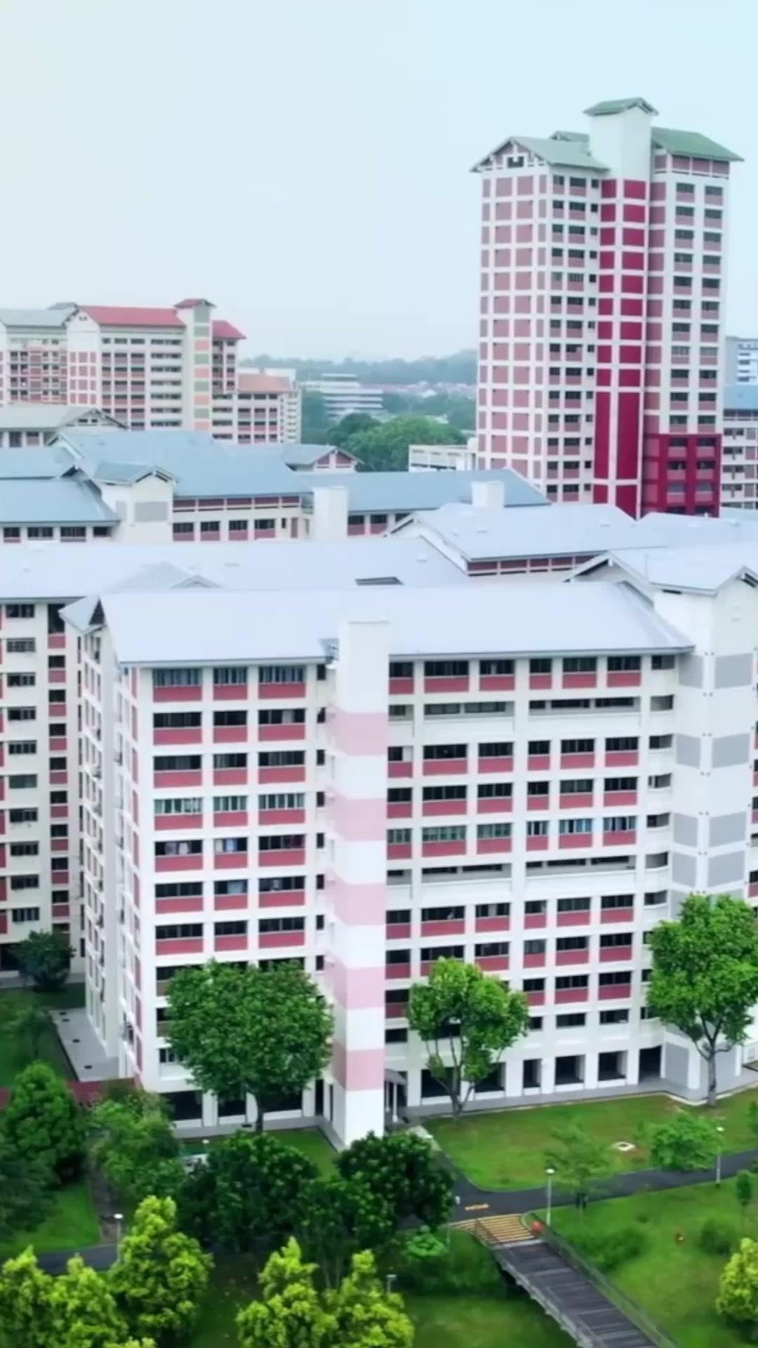 My Goddess Fell from the Sky