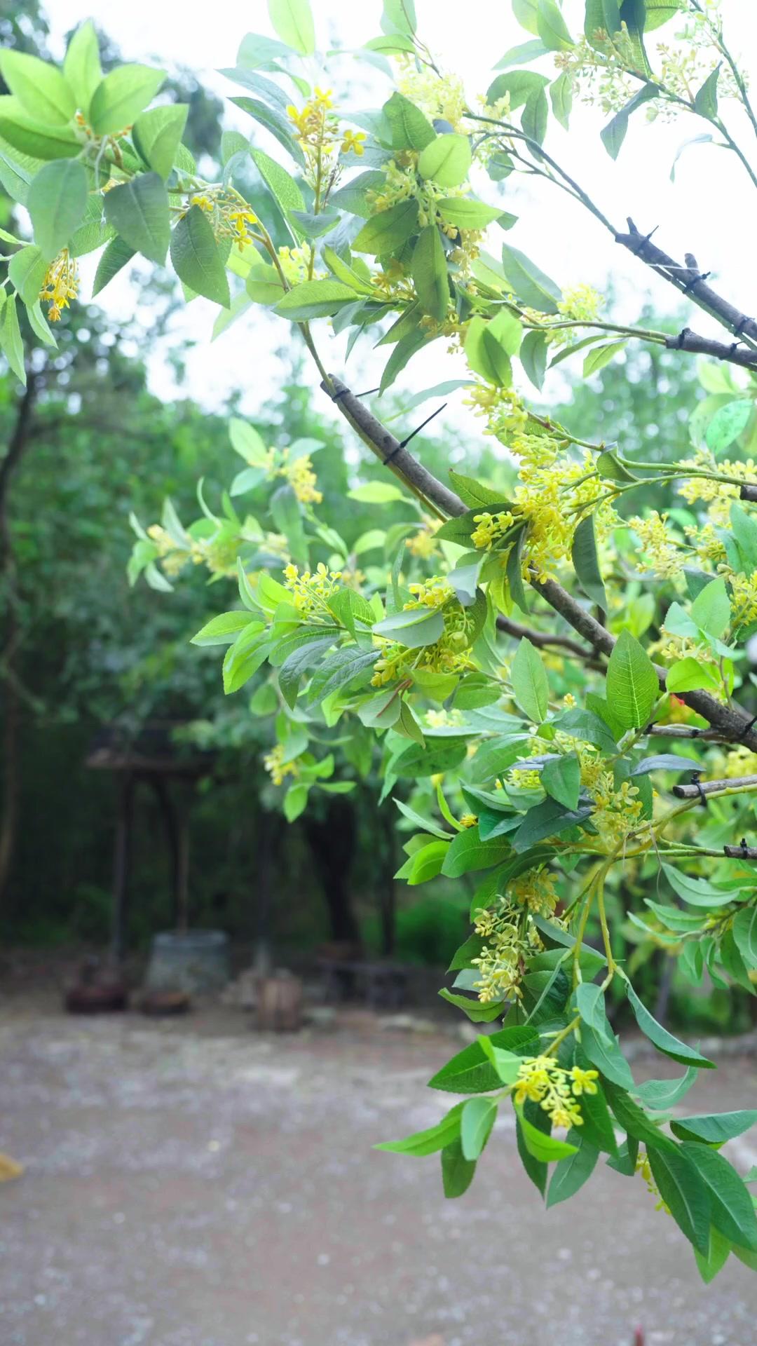 صيّاد الجبال… وزوجته المدلّلة