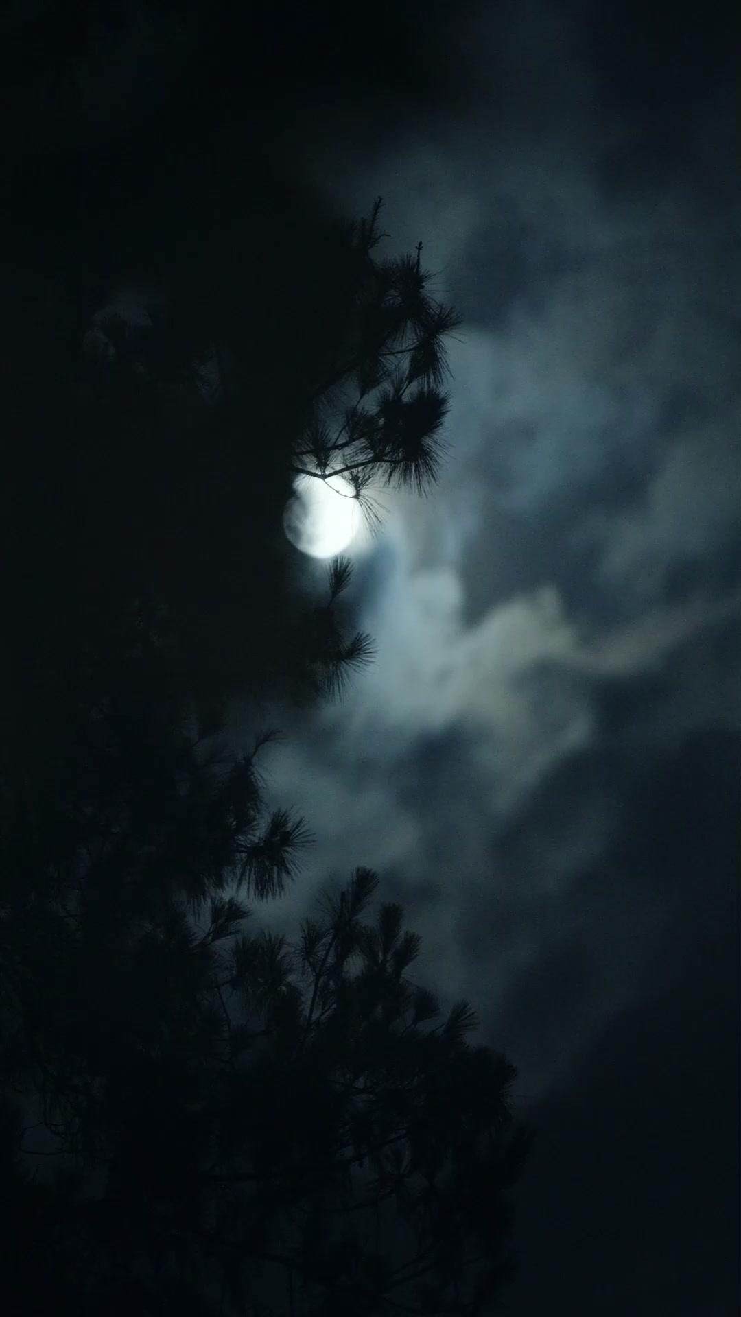 霸道少爺改造計畫