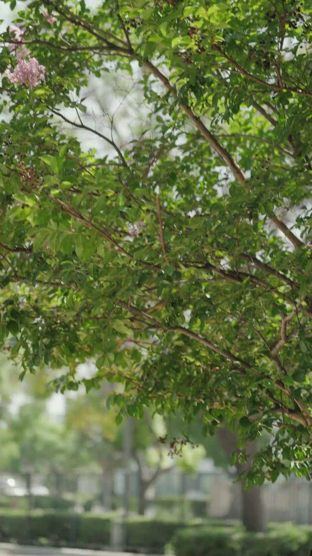 खाक हुआ इश्क़