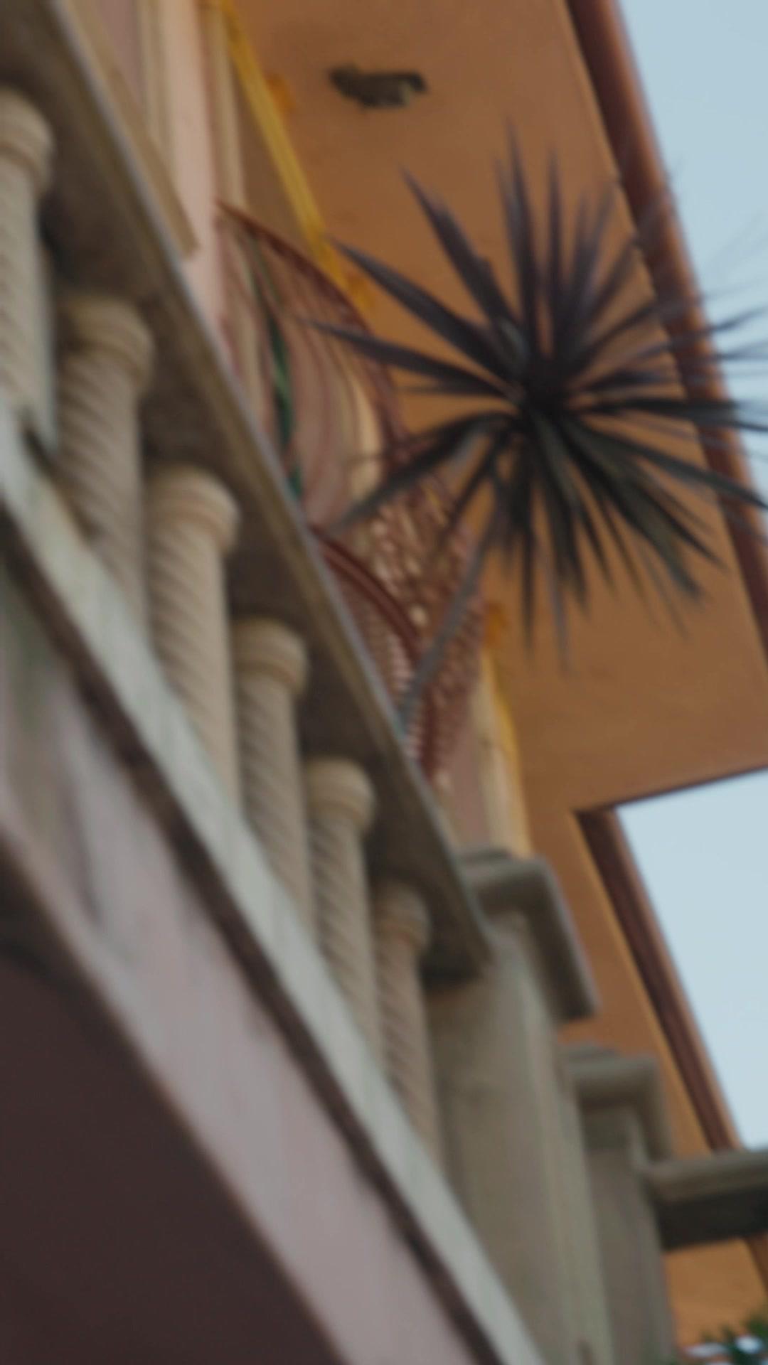 No Mercy For The Cuckoo