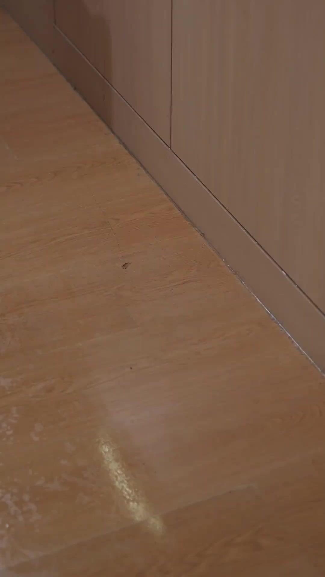 DU TRAÎTRE AU RÉVEIL