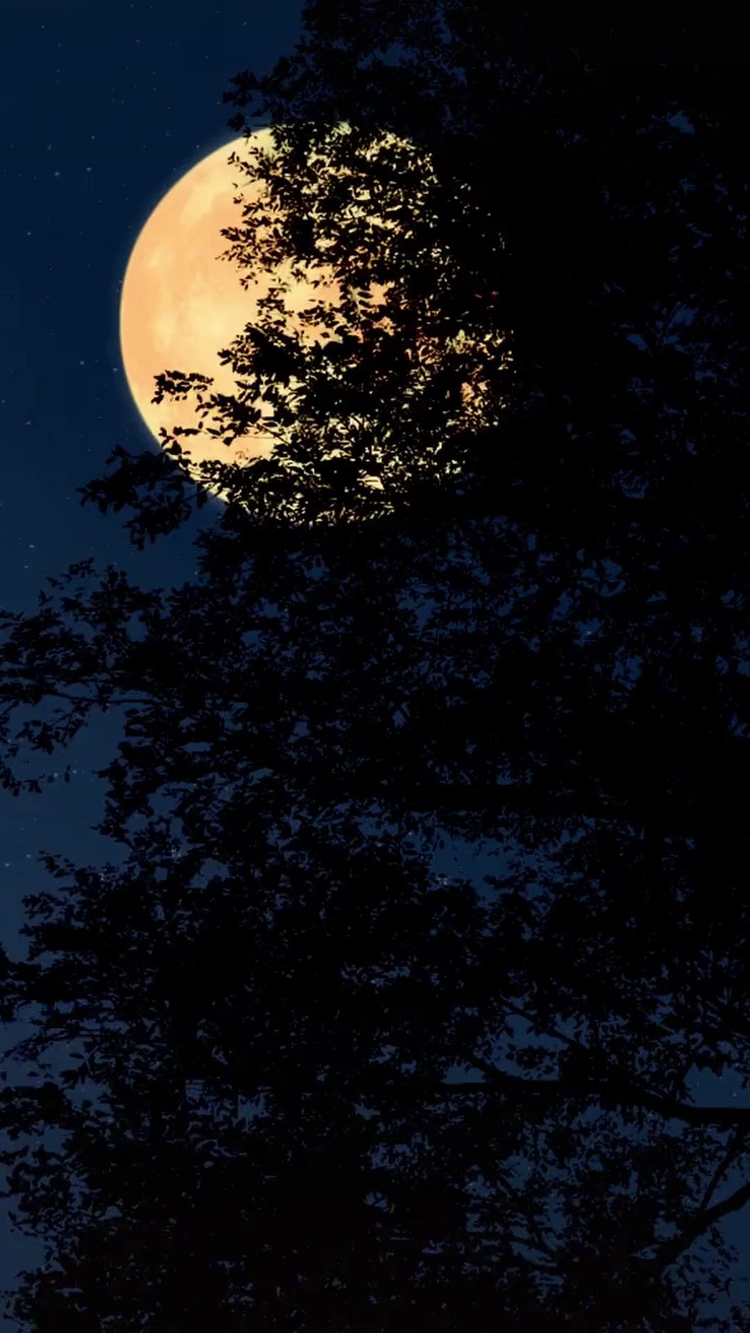 Sang Peramal di Tengah Kelaparan