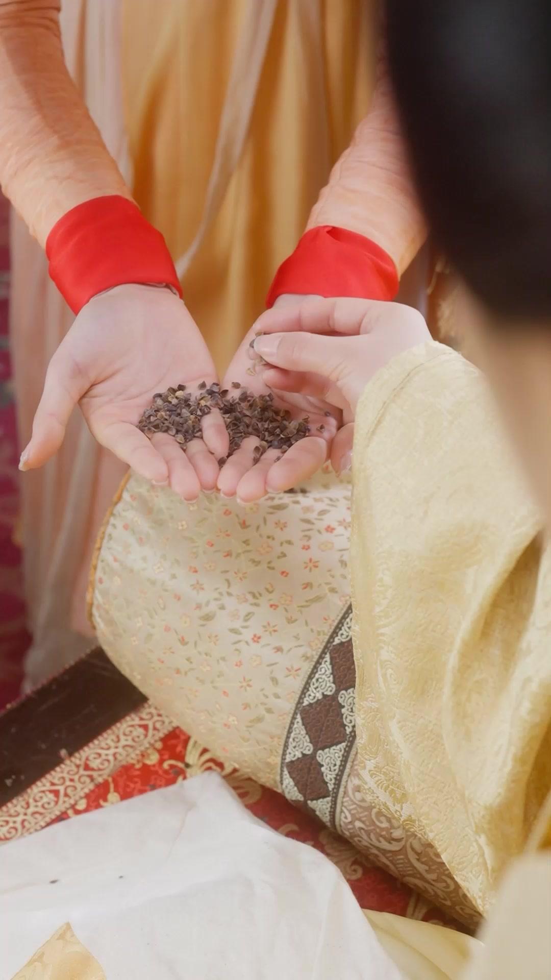 小説世界で目覚めた私 ～モブ侍女の逆襲～