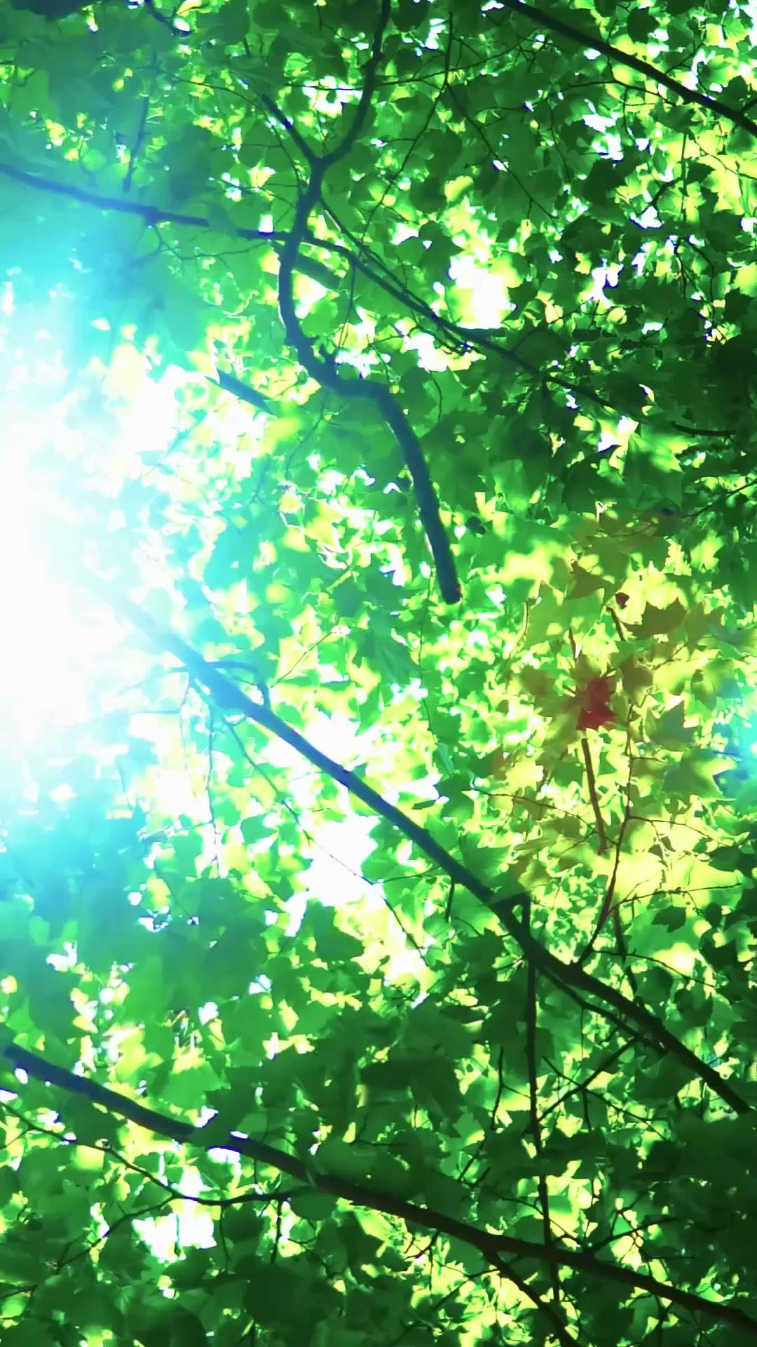 Rahasia Keluarga Susanto