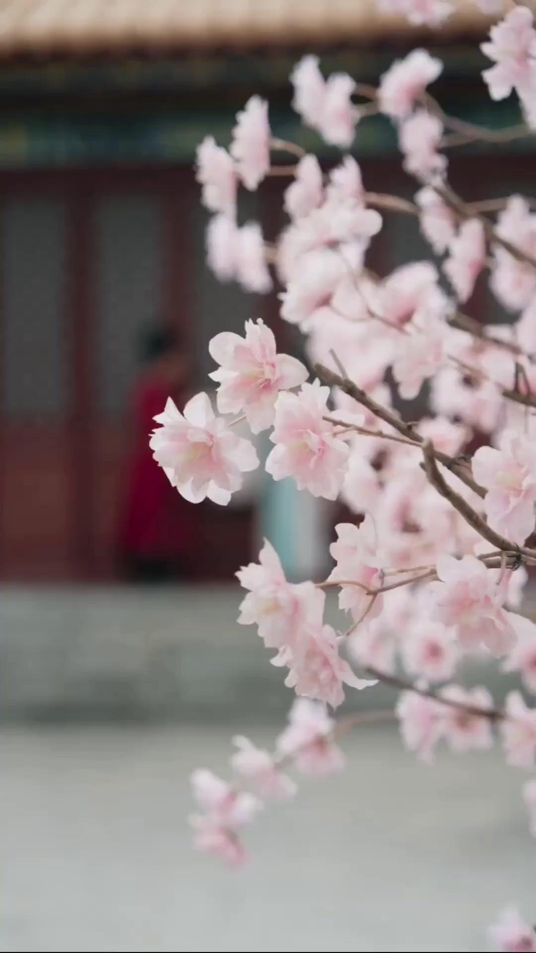 (Sulih suara) Dua Kuasa Menjadi Satu