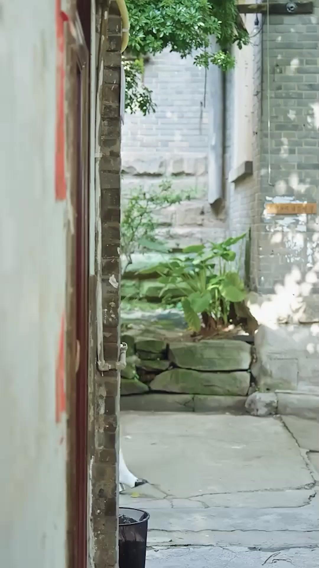 عندما يذهب الحب