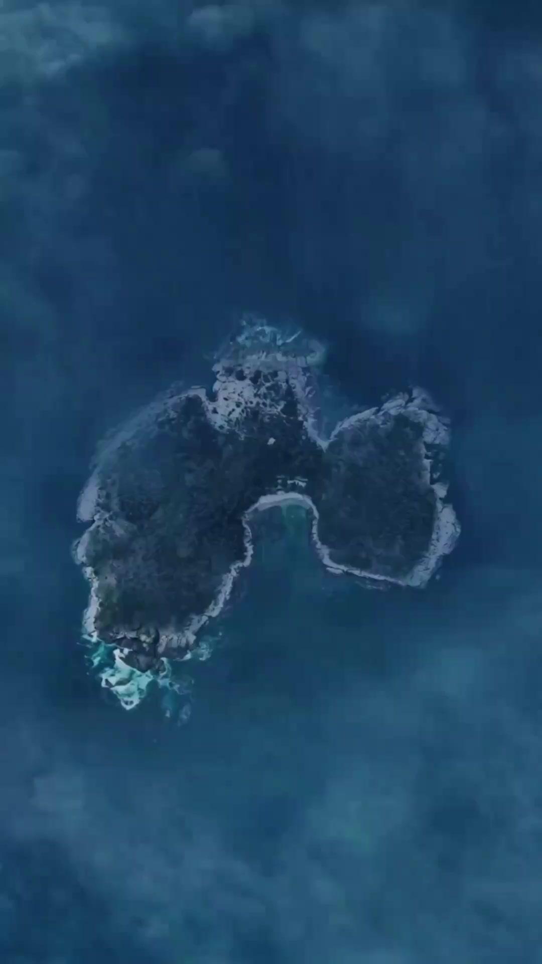 （더빙）심해의 포식자: 섬이 삼킨 배신