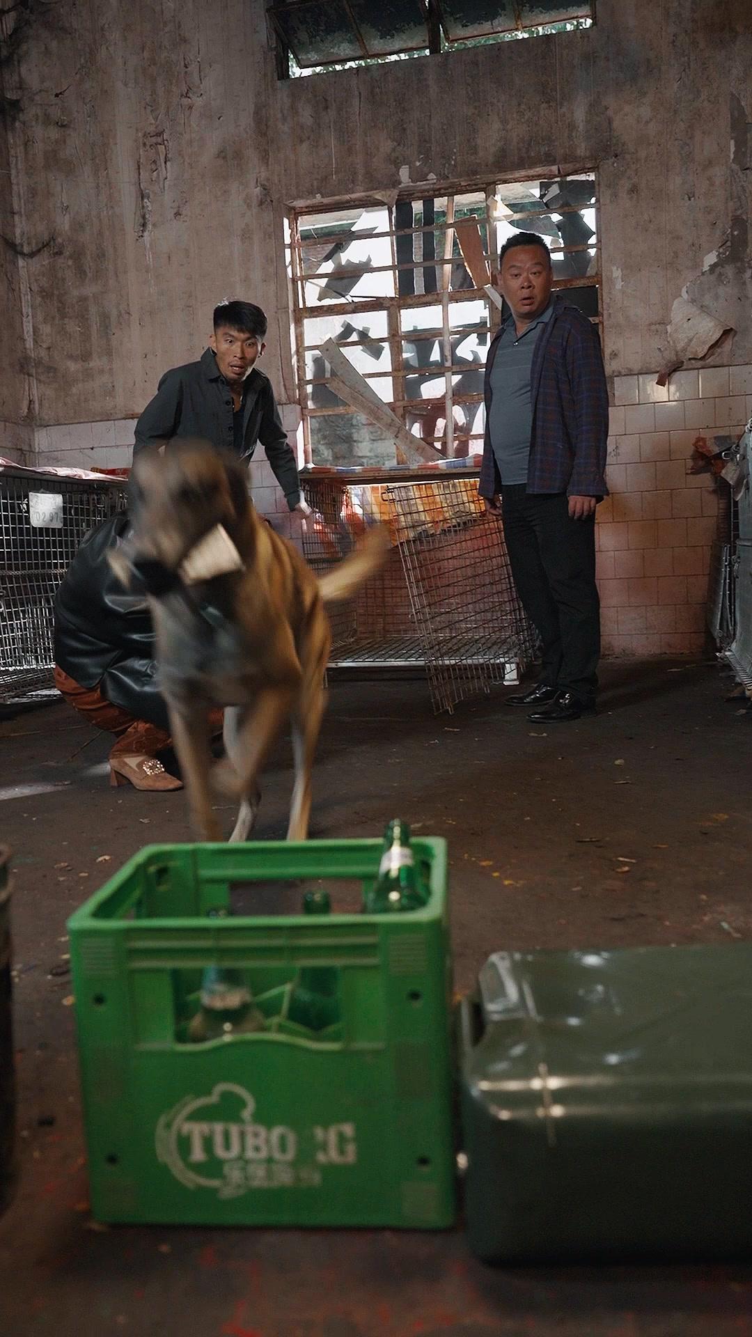 リボーン・タイムリミット