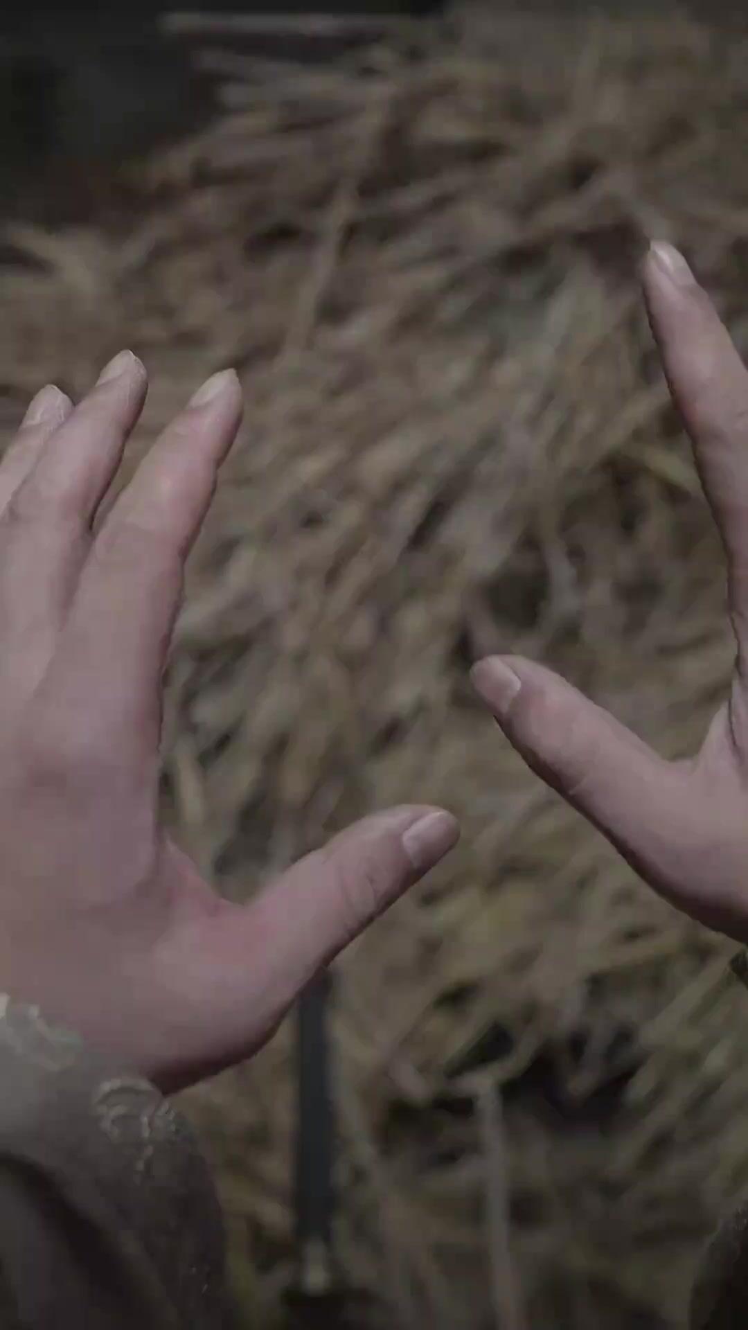 خطيئة العبور