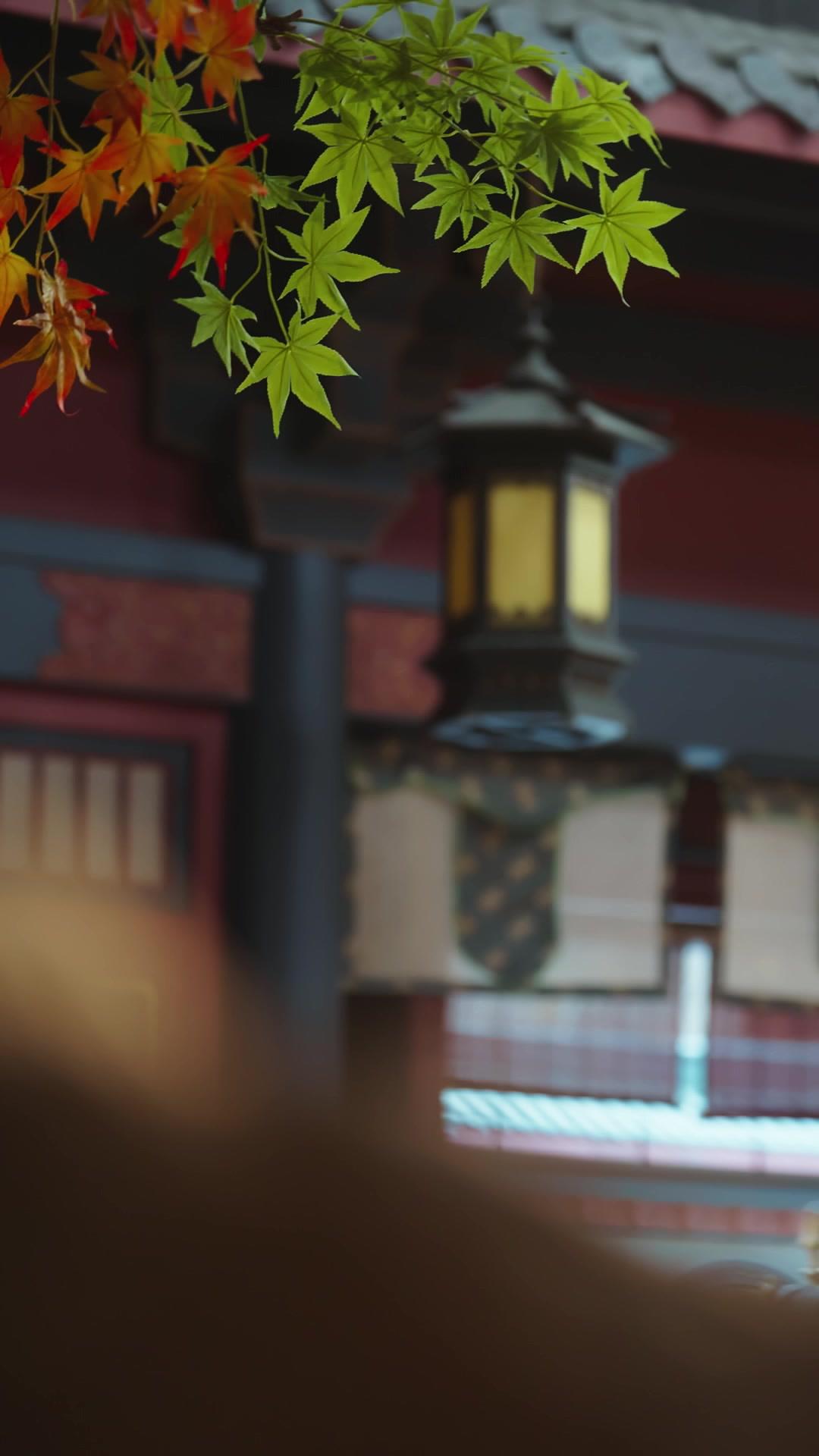 Selepas Khianat, Aku Tak Kembali