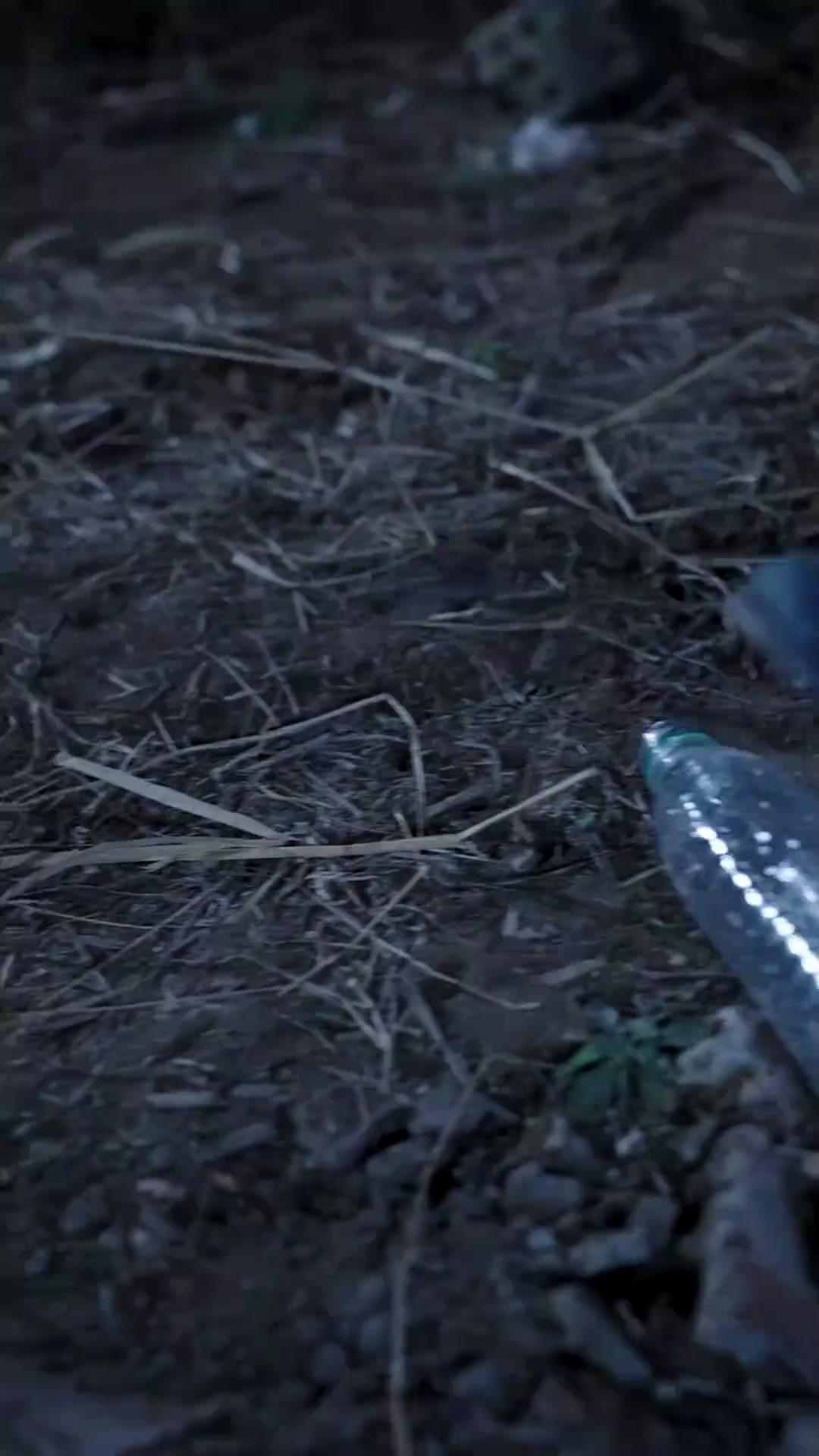 Gerettet von dem, den ich verwarf