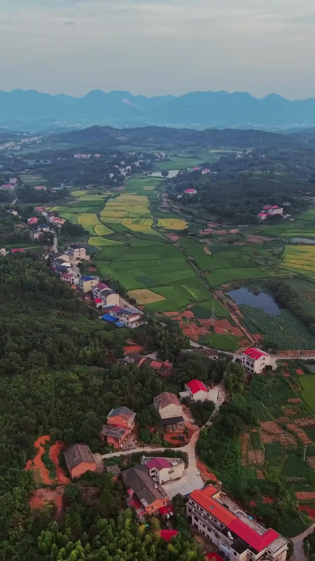  Kekuatan Sakti, Pesona Mematikan