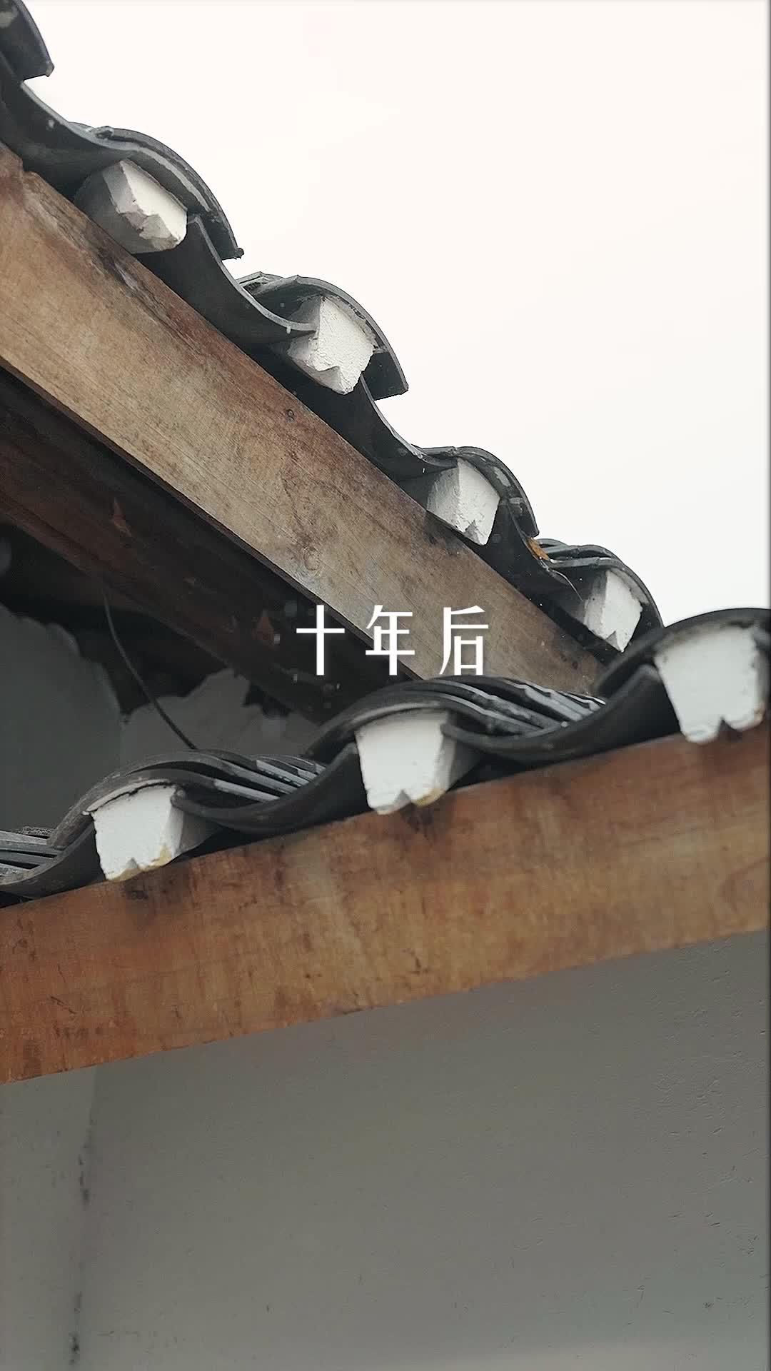 Whispers in the Dance 