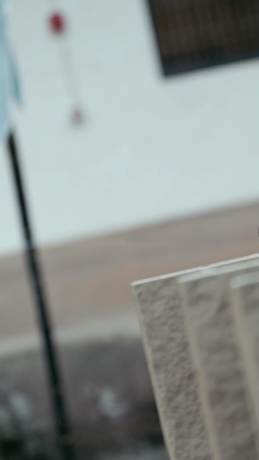 The Tiny Martial Master