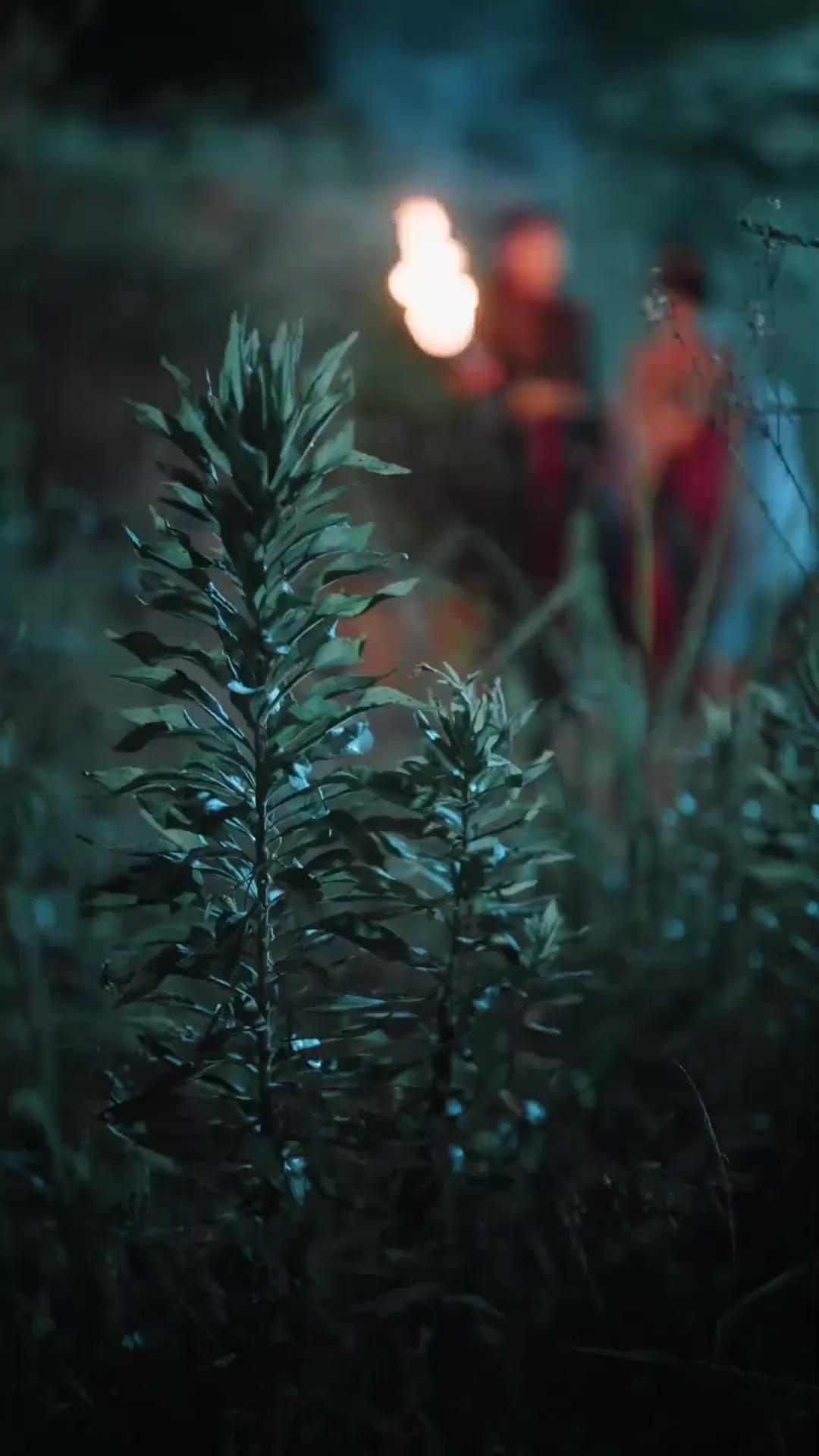 (Sulih suara)Putri Pengganti yang Dinikahkan