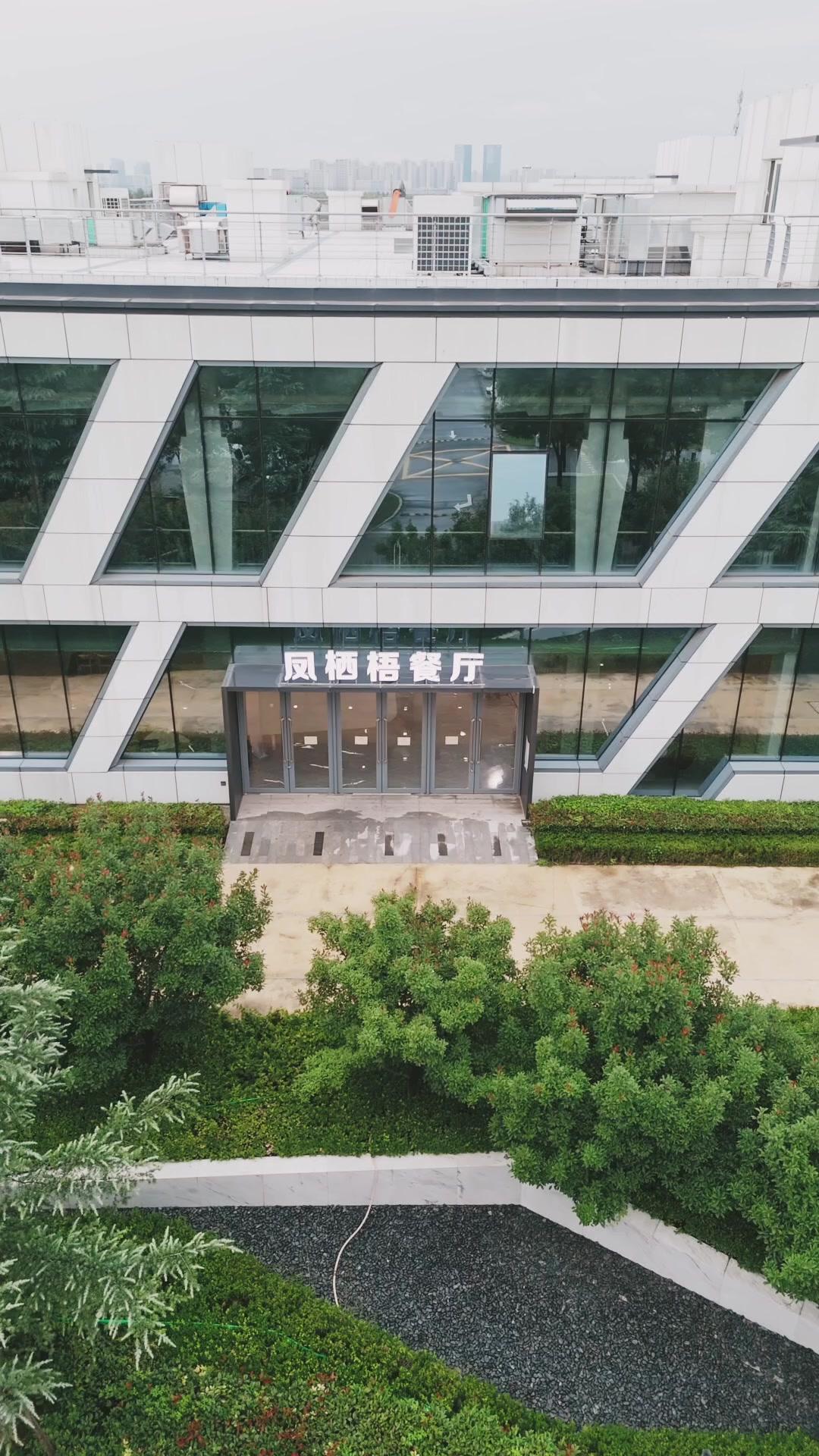 Loser? He's a Stock Prodigy!