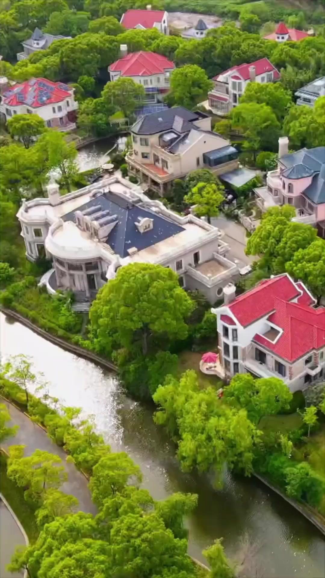 Me divorcié y elegí un millonario