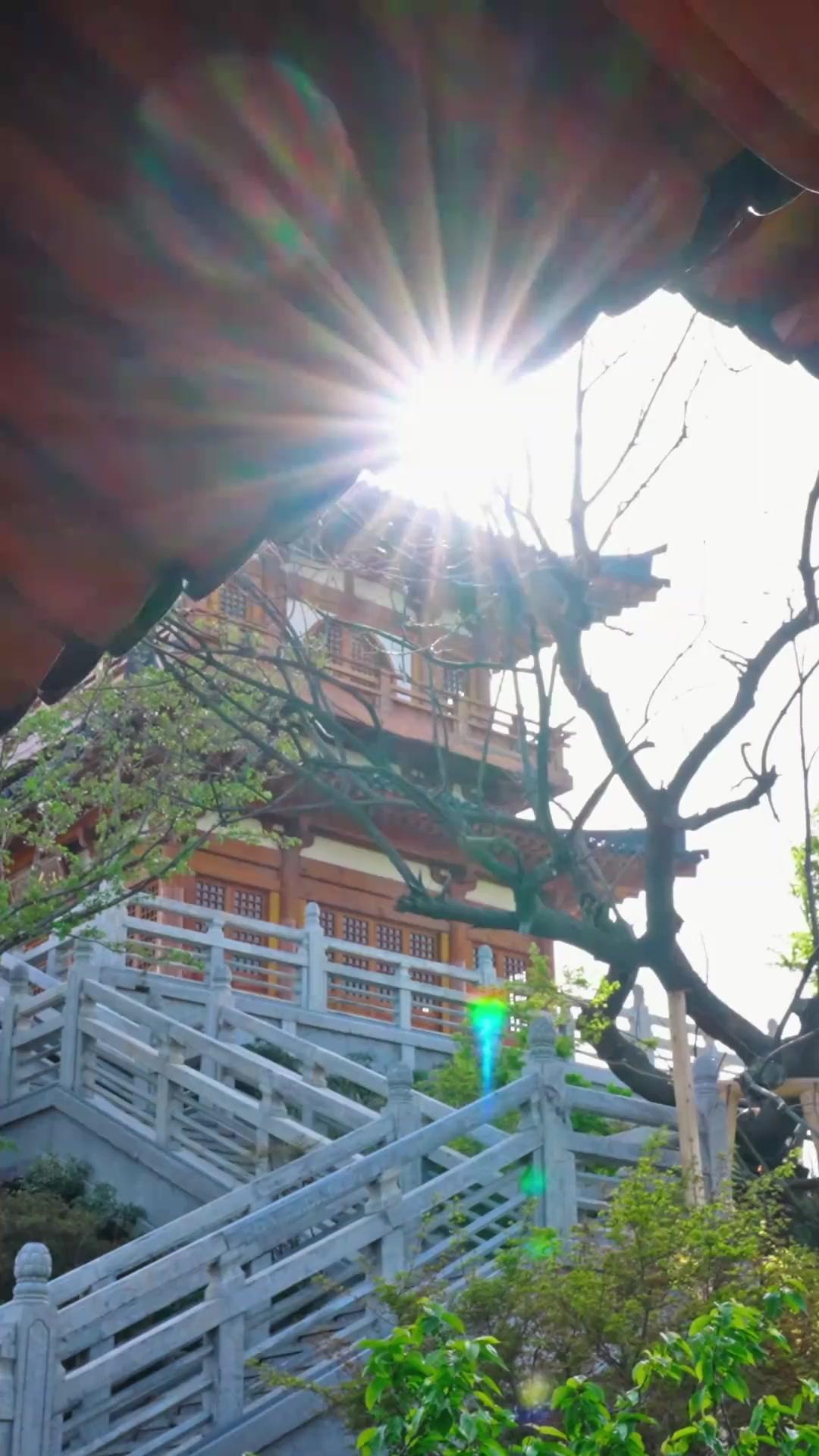 หลงรักคู่หมั้นลับ