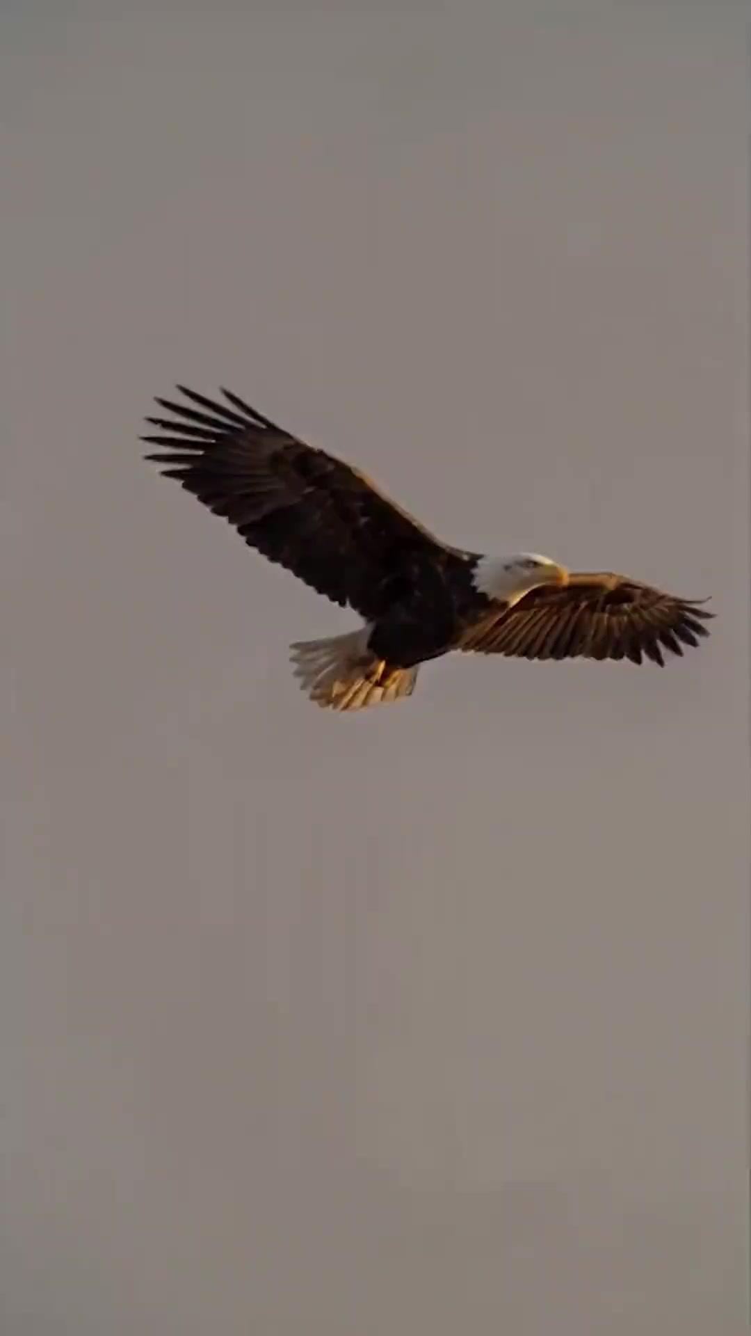 Melawan Dewa Ribuan Tahun