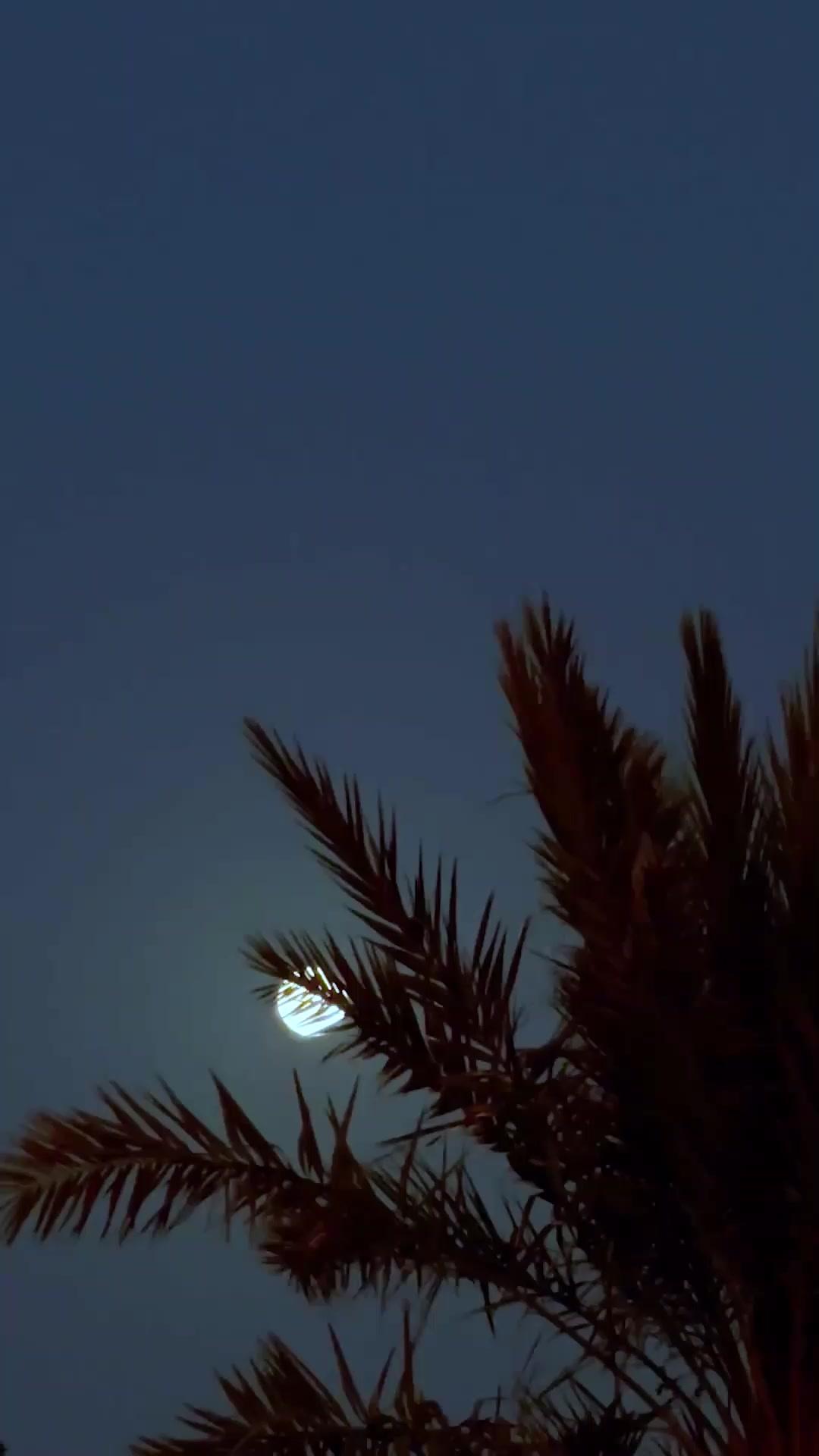 (Doublage) LE REGRET QUI NOUS LIE