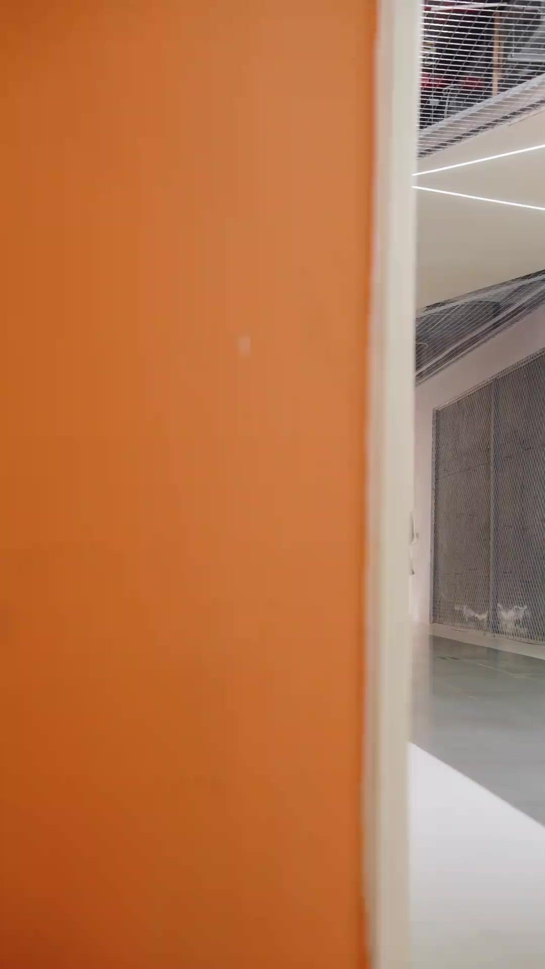 Kesempatan Kedua, Hidup Bahagia Di Mulai