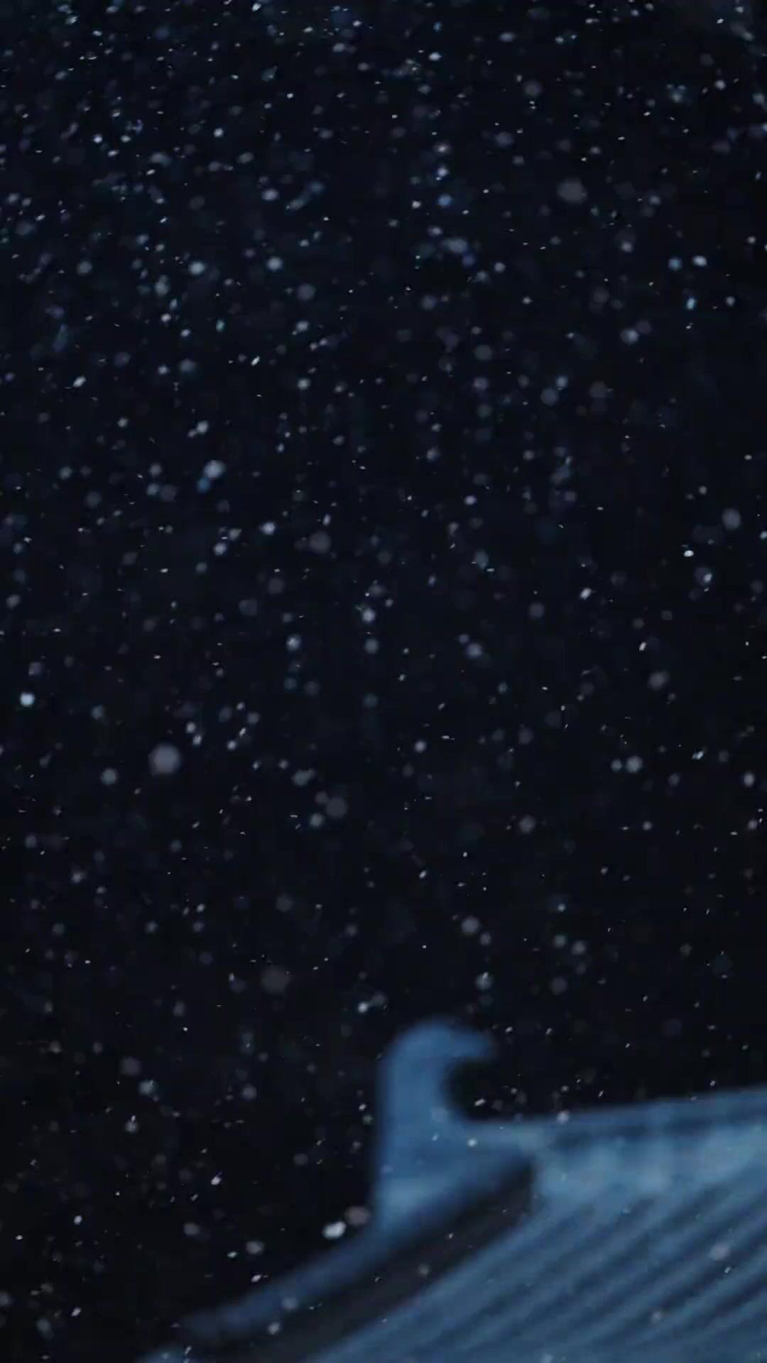 寒露が降りる頃に