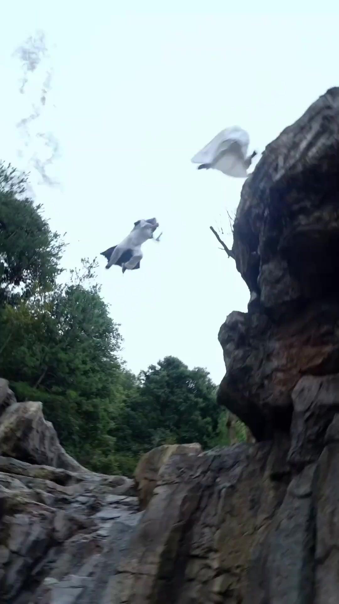 Bangkit Kembali dari Penjara