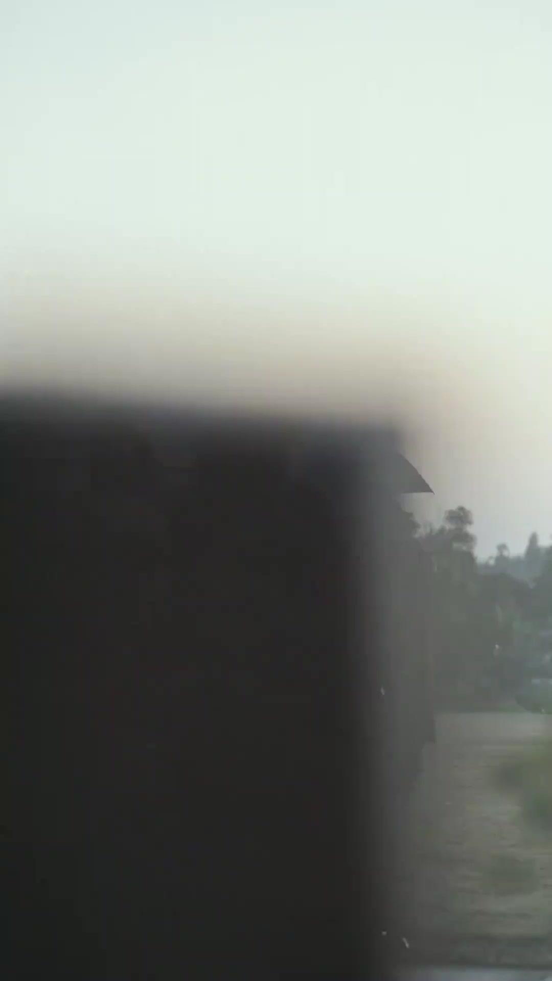 腎臓と引き換えの愛