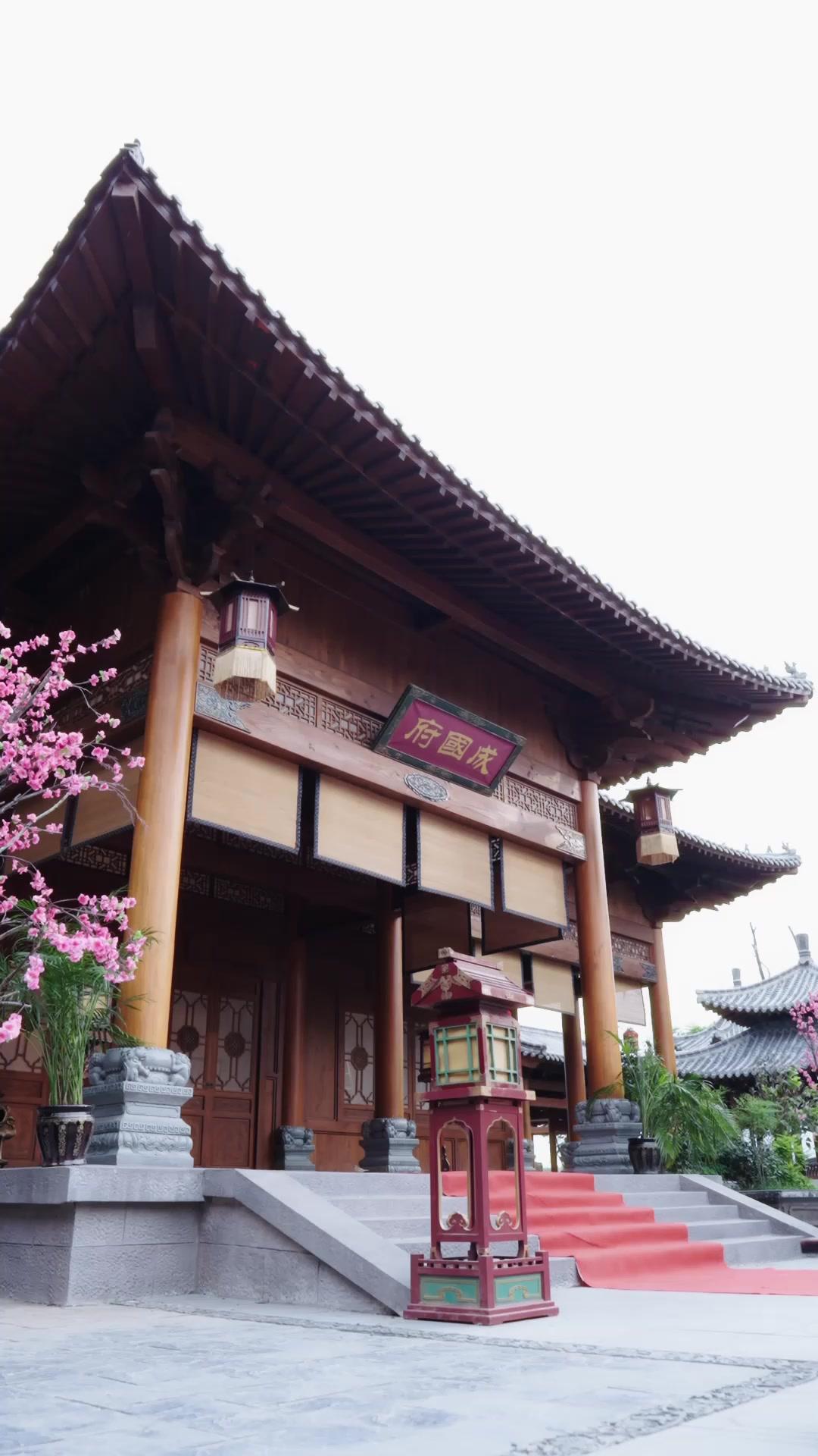 Mi esposa es un misterio