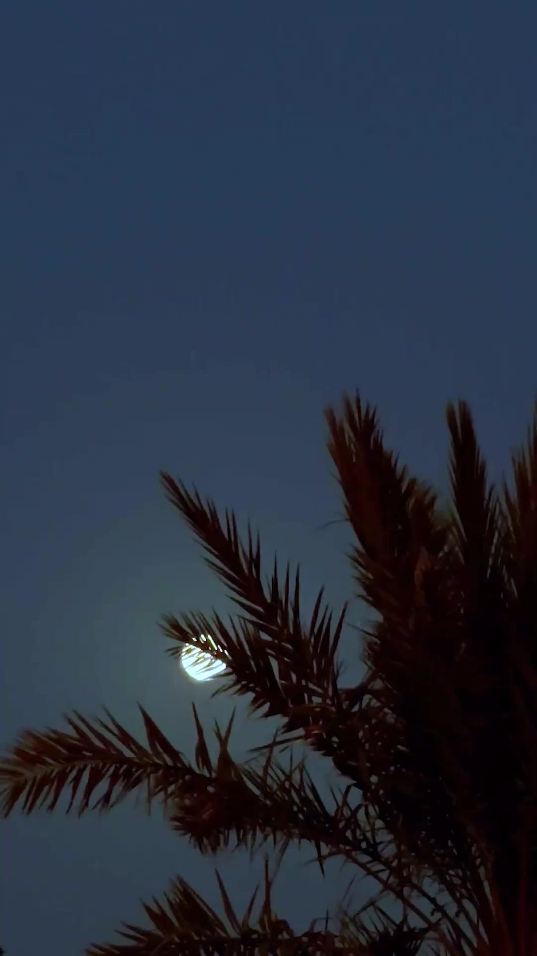 तुम मेरा अफसोस हो