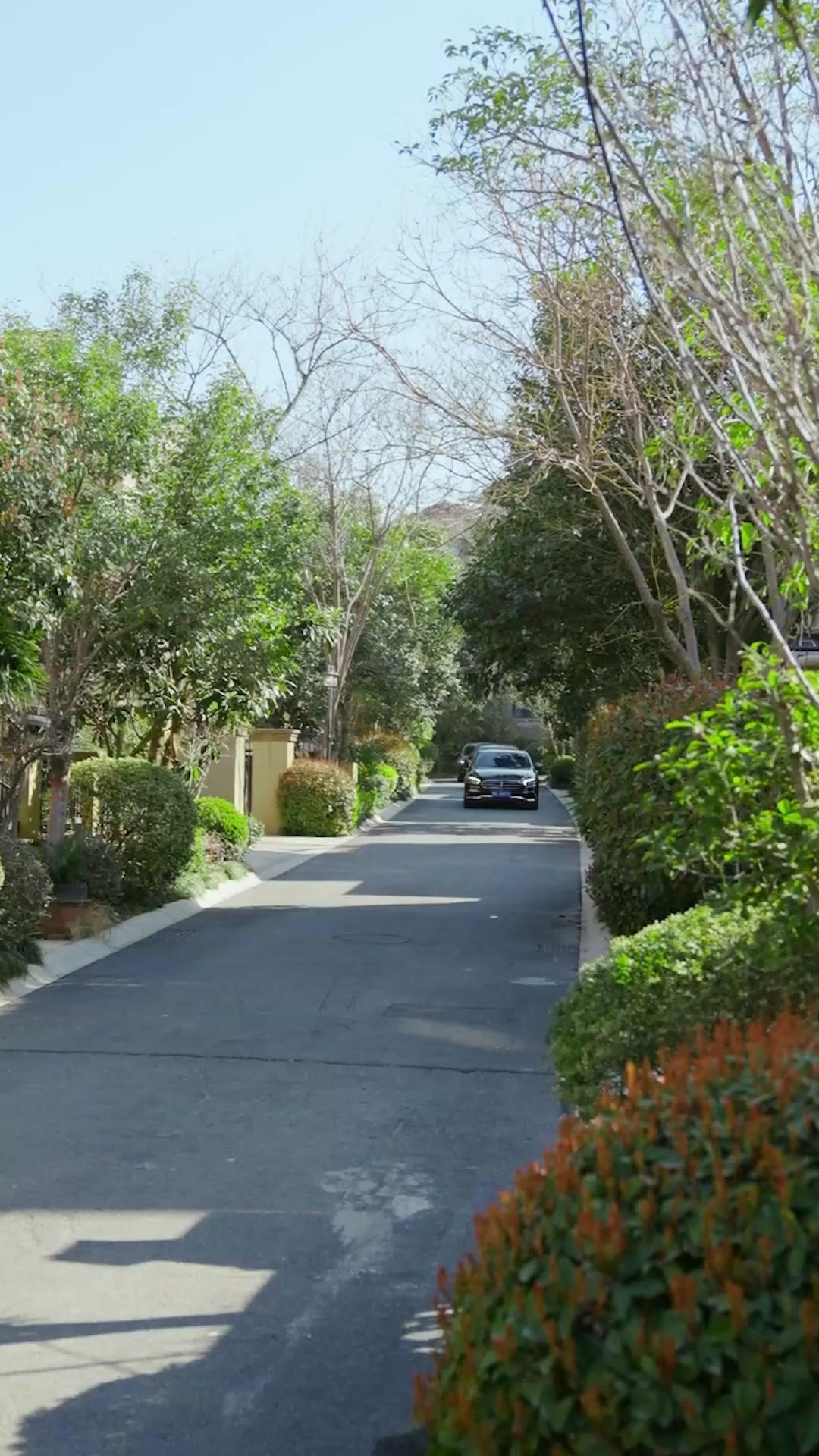 Arrepentimiento tardío