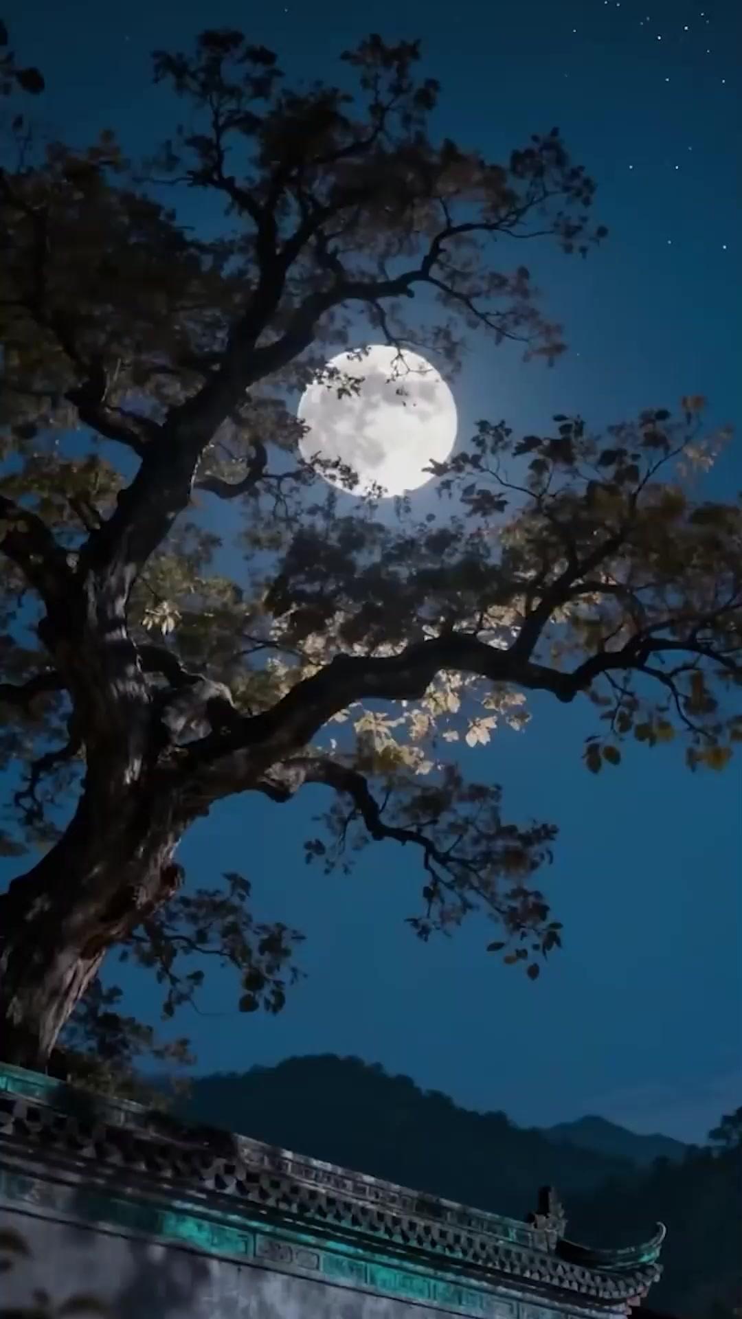 (Dubbed) The Hidden Tyrant