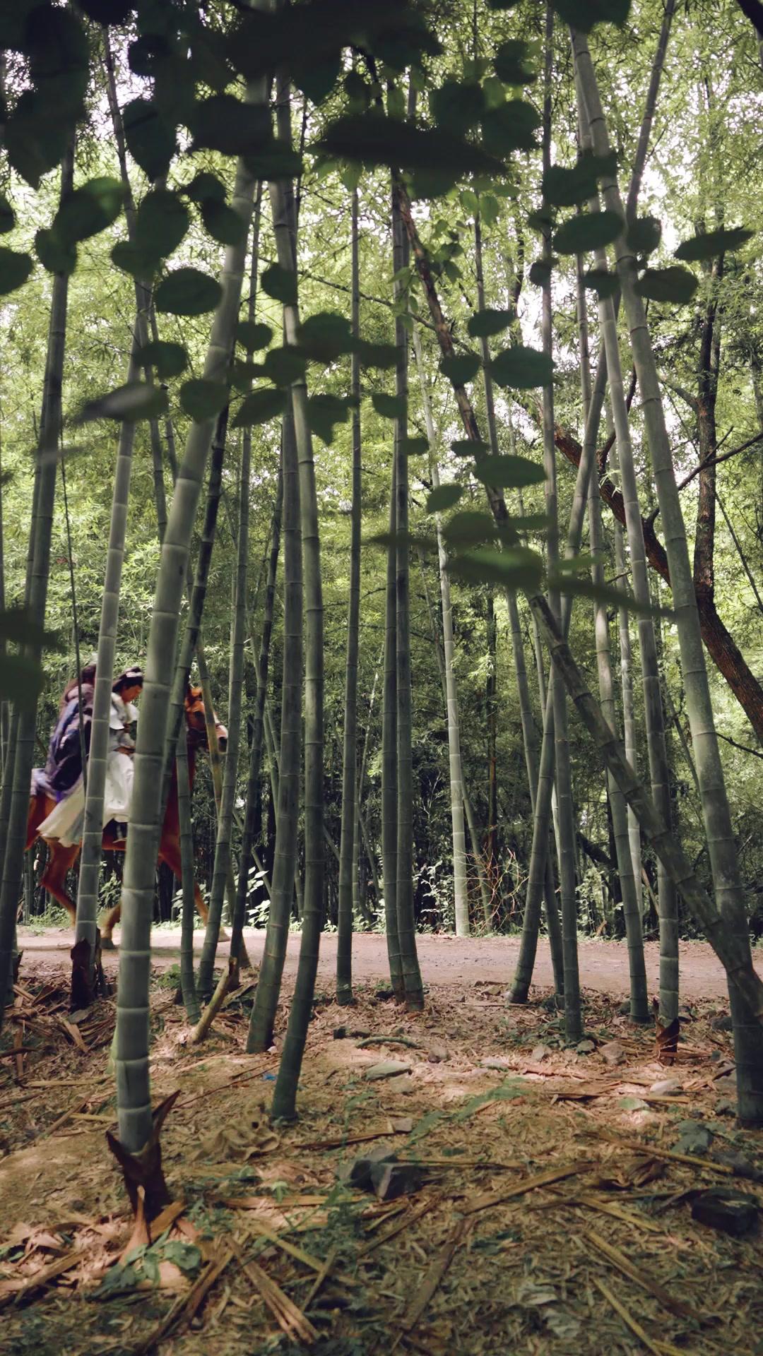 Reborn as a Princess… to Kill