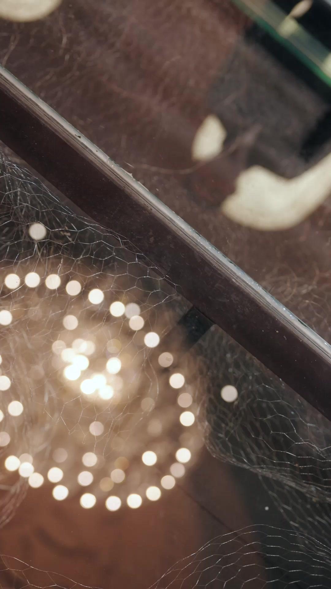 Sorry, My Nobel Is In The Trunk