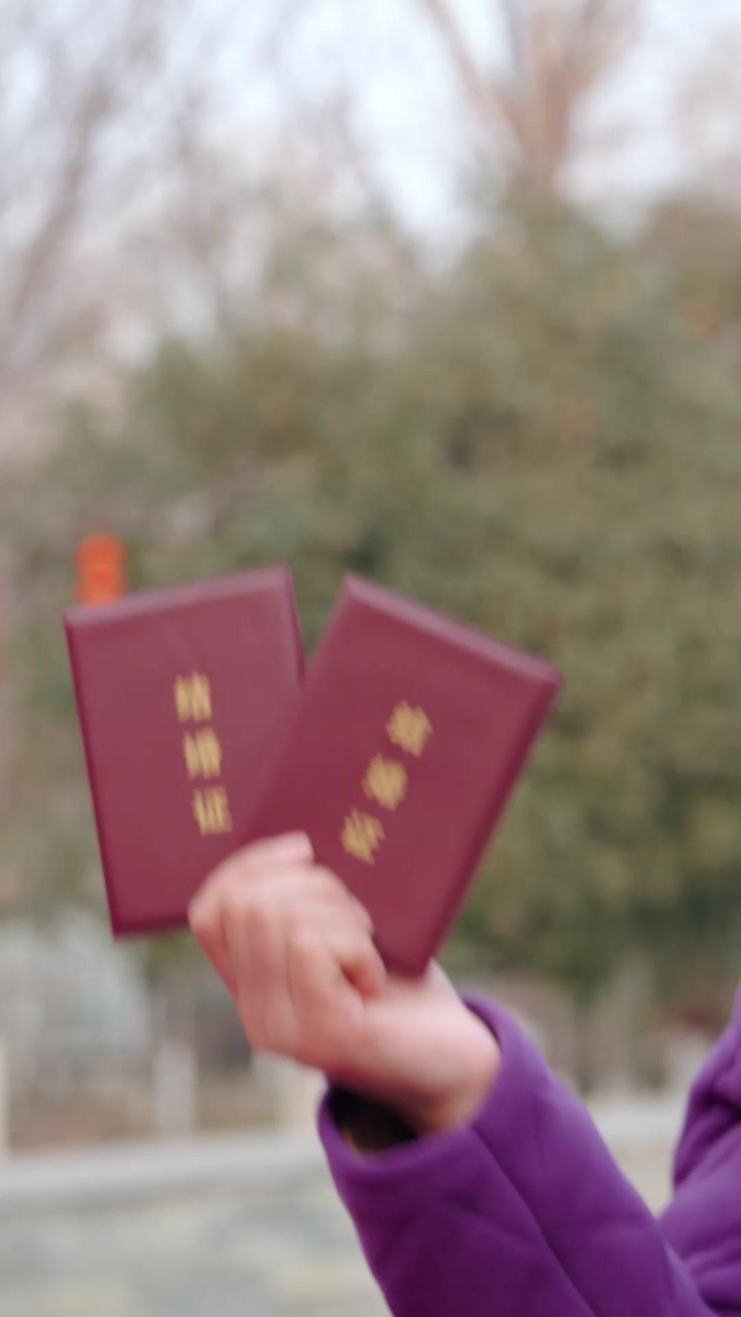 My Goddess Fell from the Sky