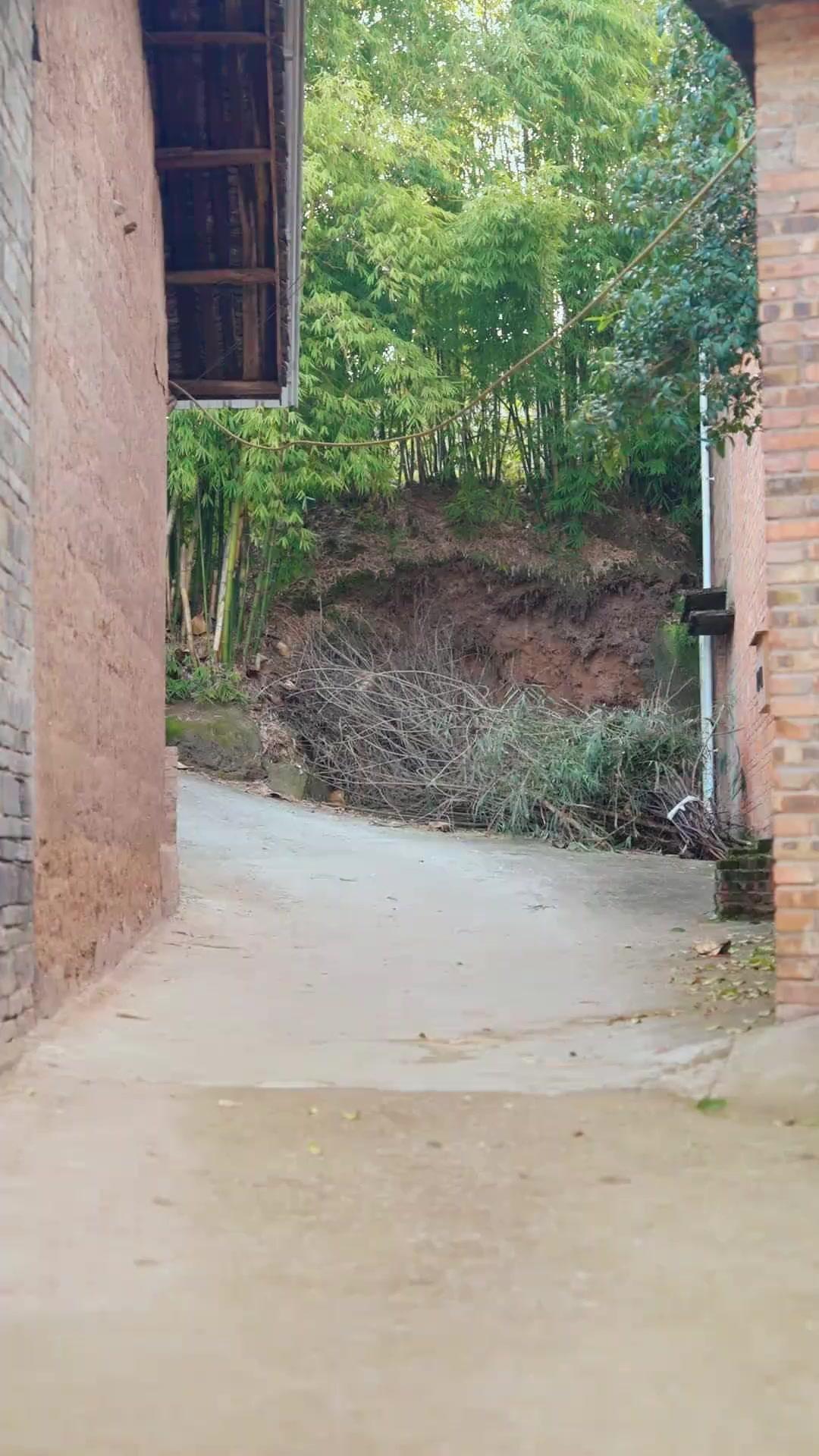 La falsa heredera dejó de fingir