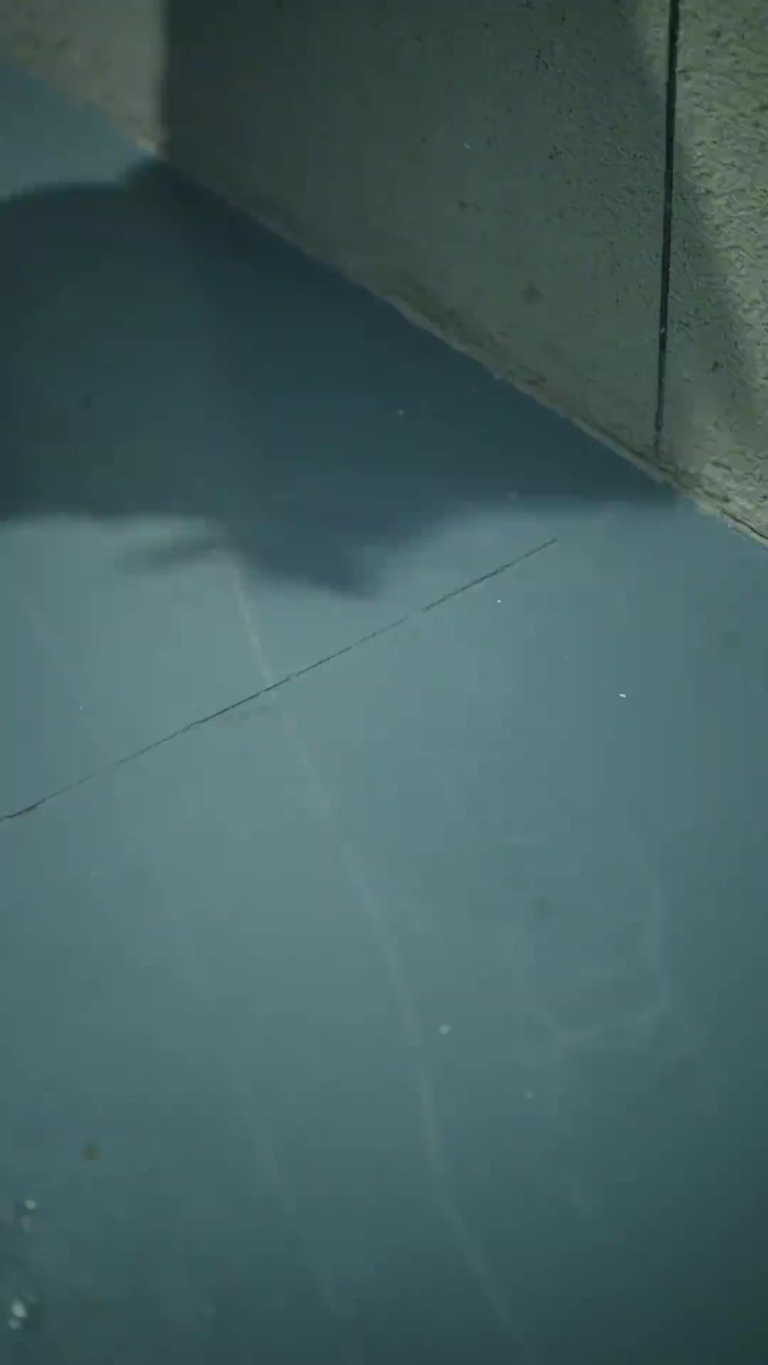 Lo recogí del pavimento