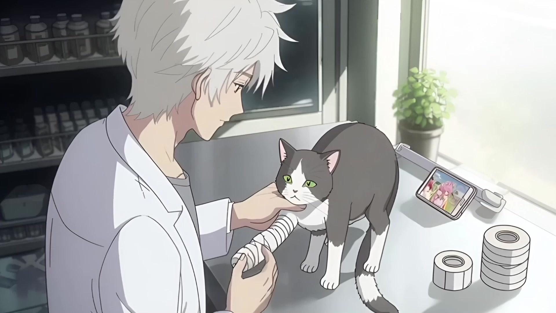 Fangs, Fortune & My Heroic Vet