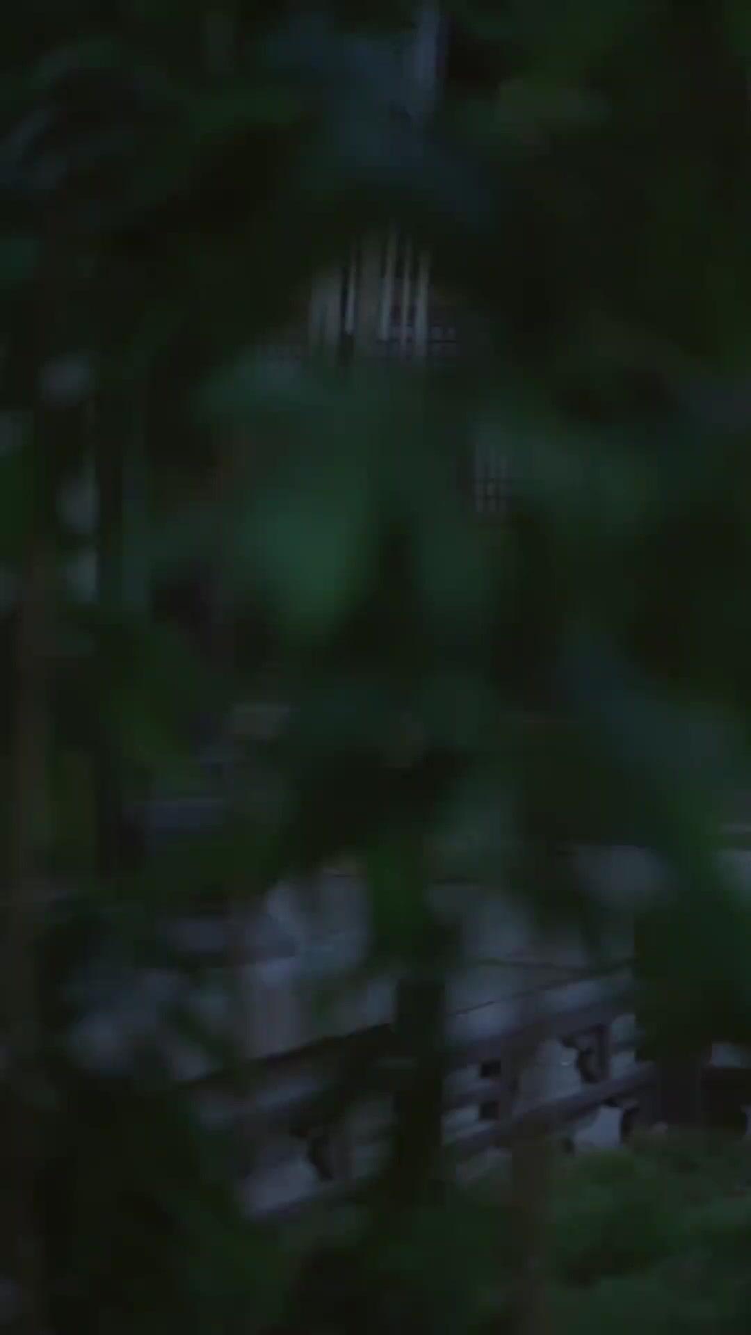 （مدبلج）لهيب الزهور المندلع 