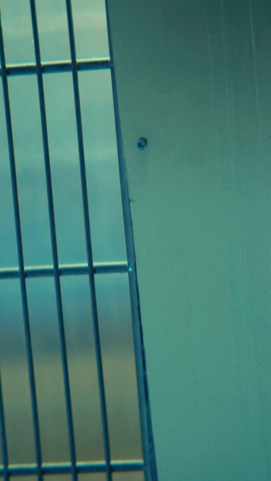  prison break: Don't mess with my daughter