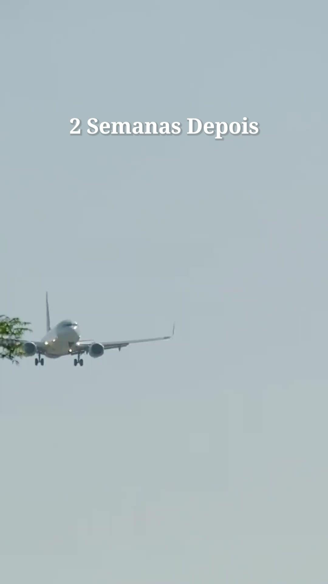 (Dublagem) O Brilho da Srta. Joana