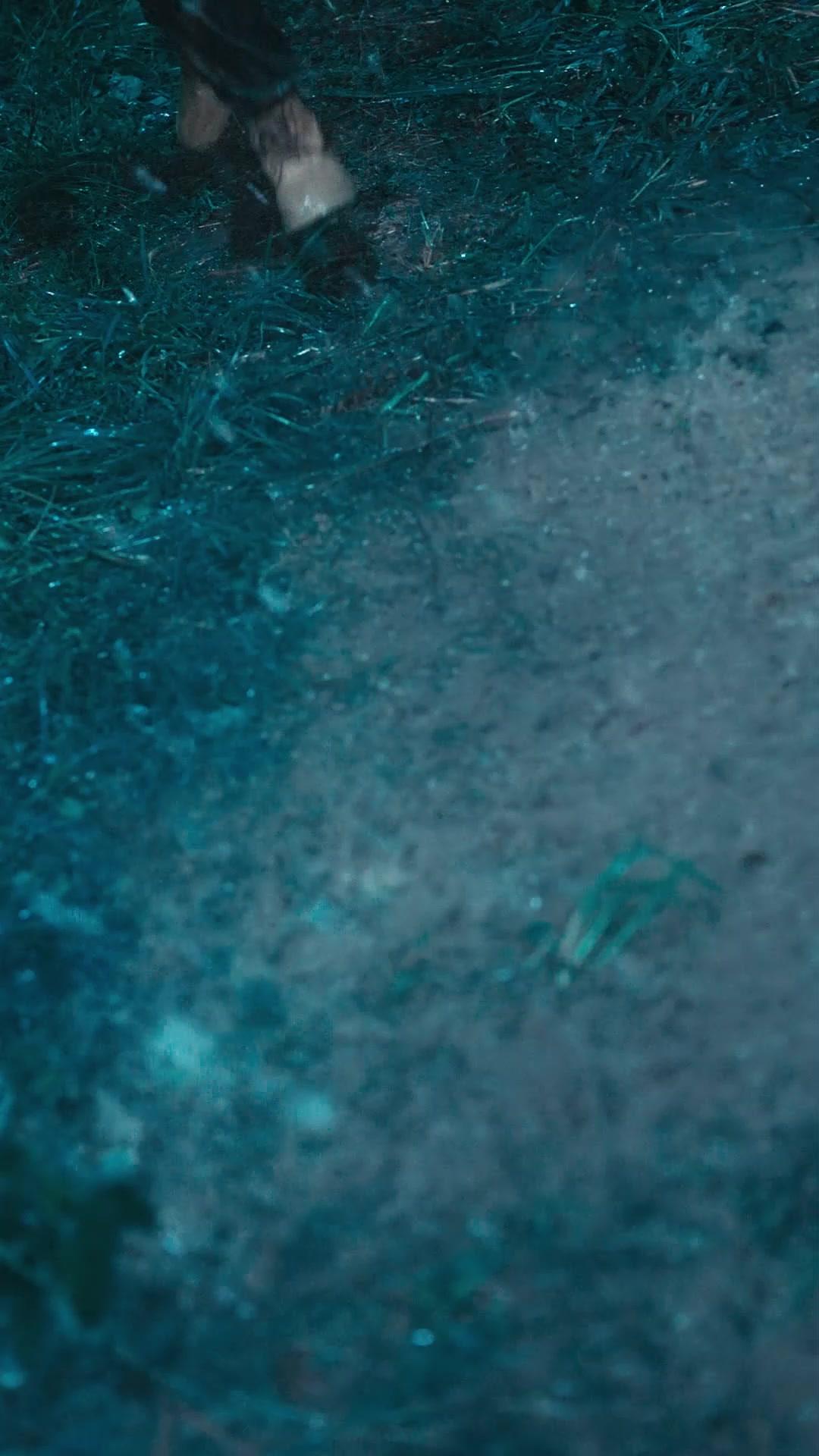  Malapetaka Lipan Raksasa