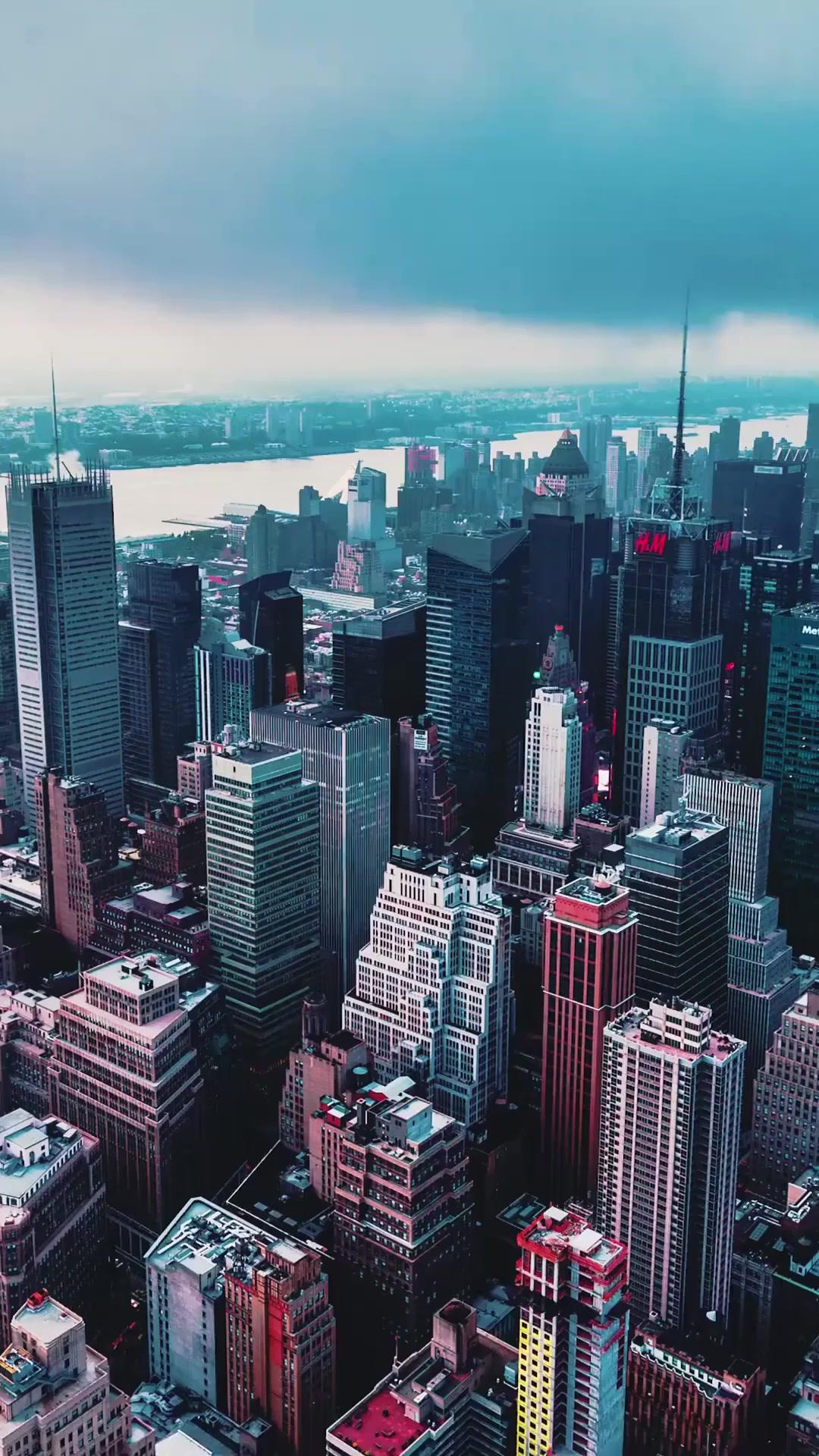 (Doblado) Los puños del engaño